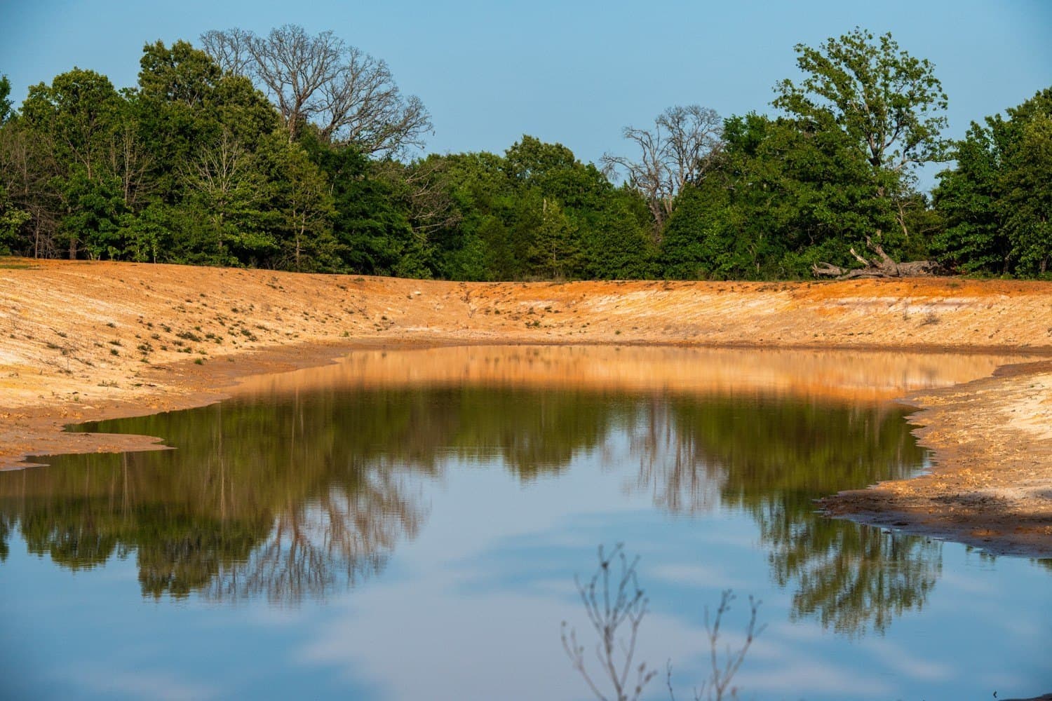 257 acres in Henderson County - photo 30