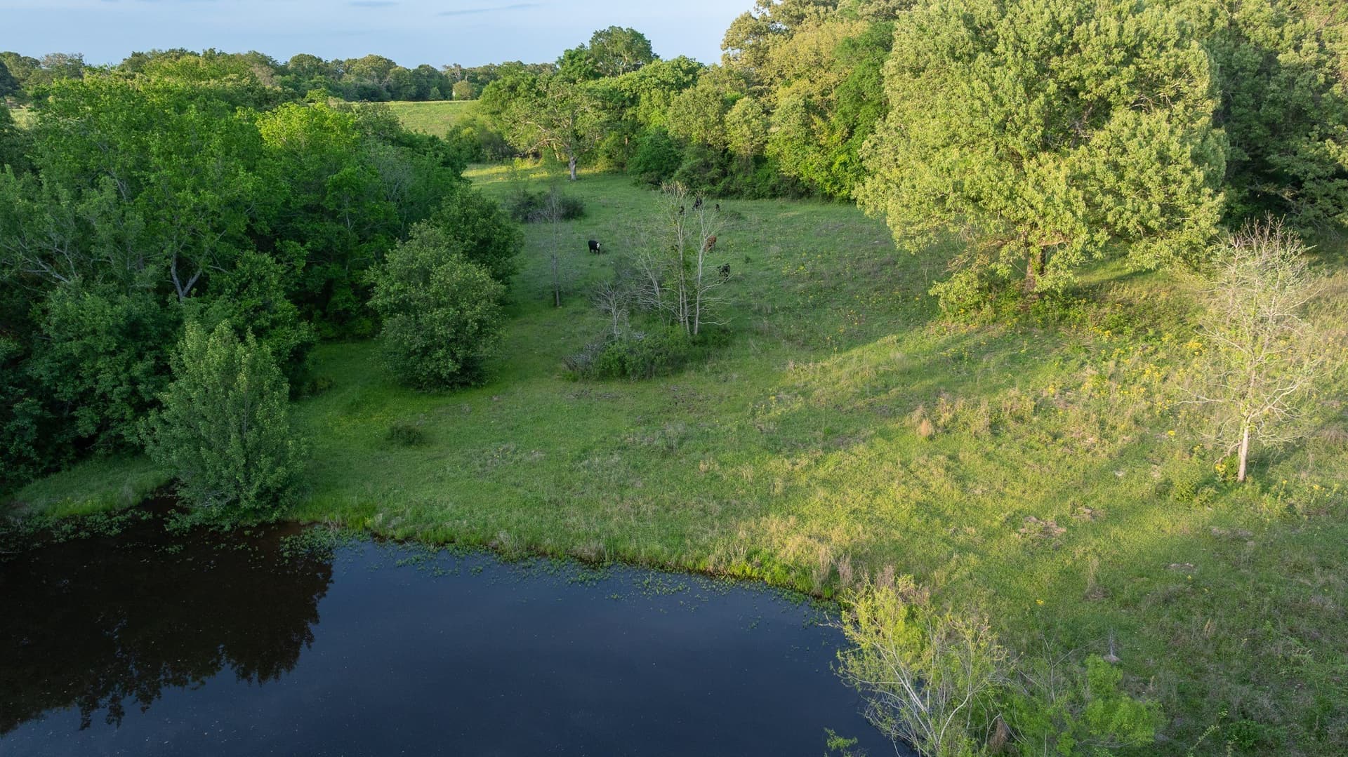 257 acres in Henderson County - photo 24