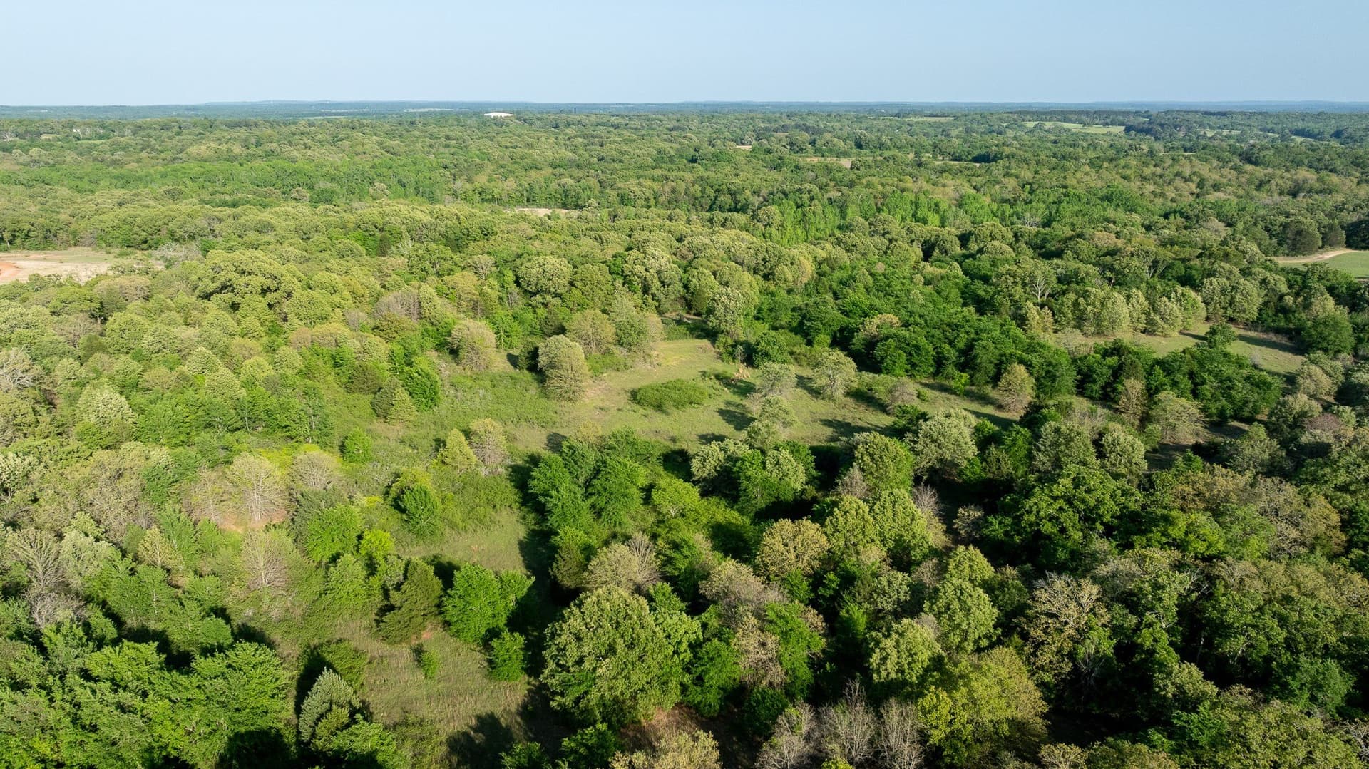 257 acres in Henderson County - photo 11