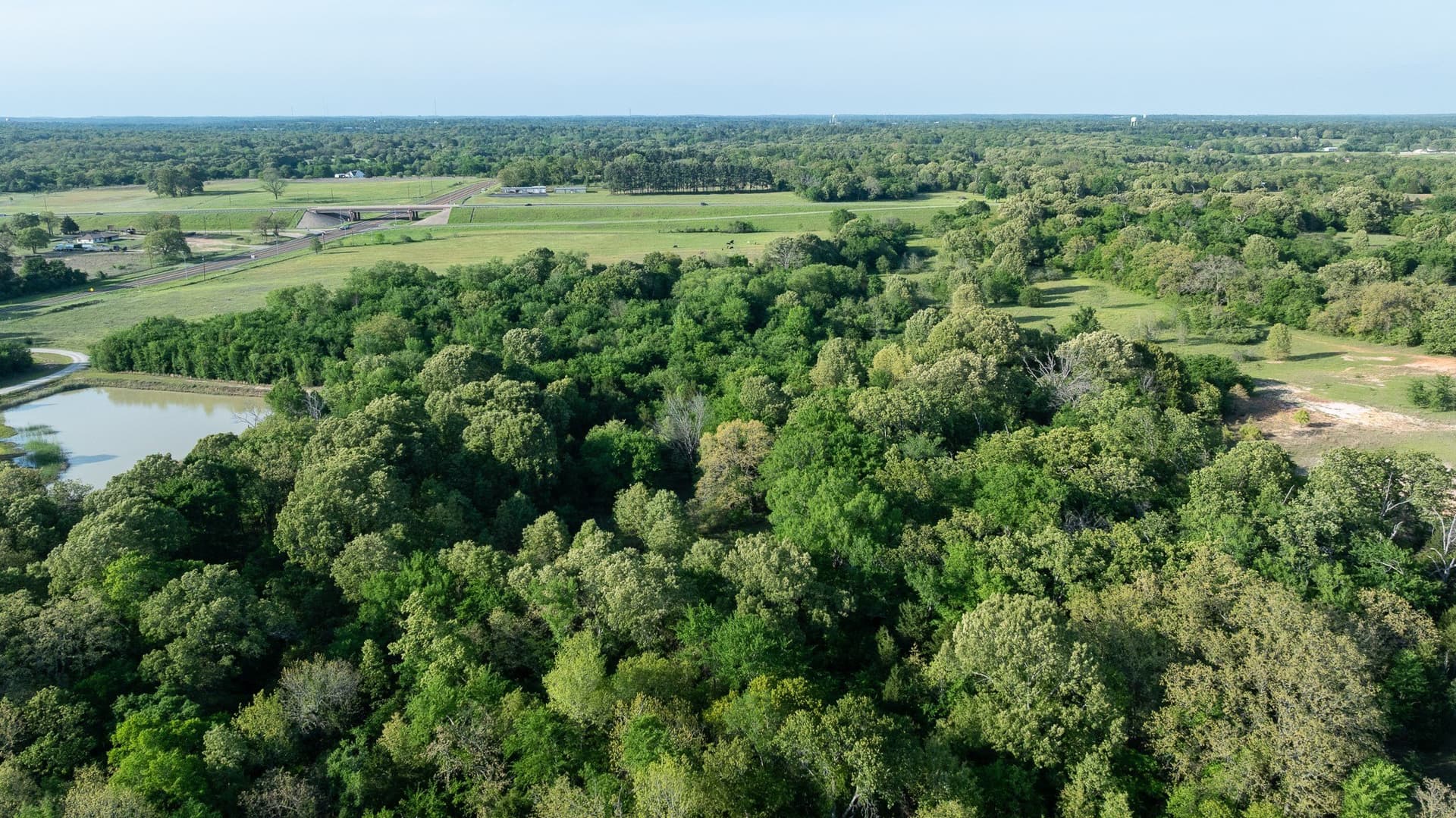 257 acres in Henderson County - photo 13