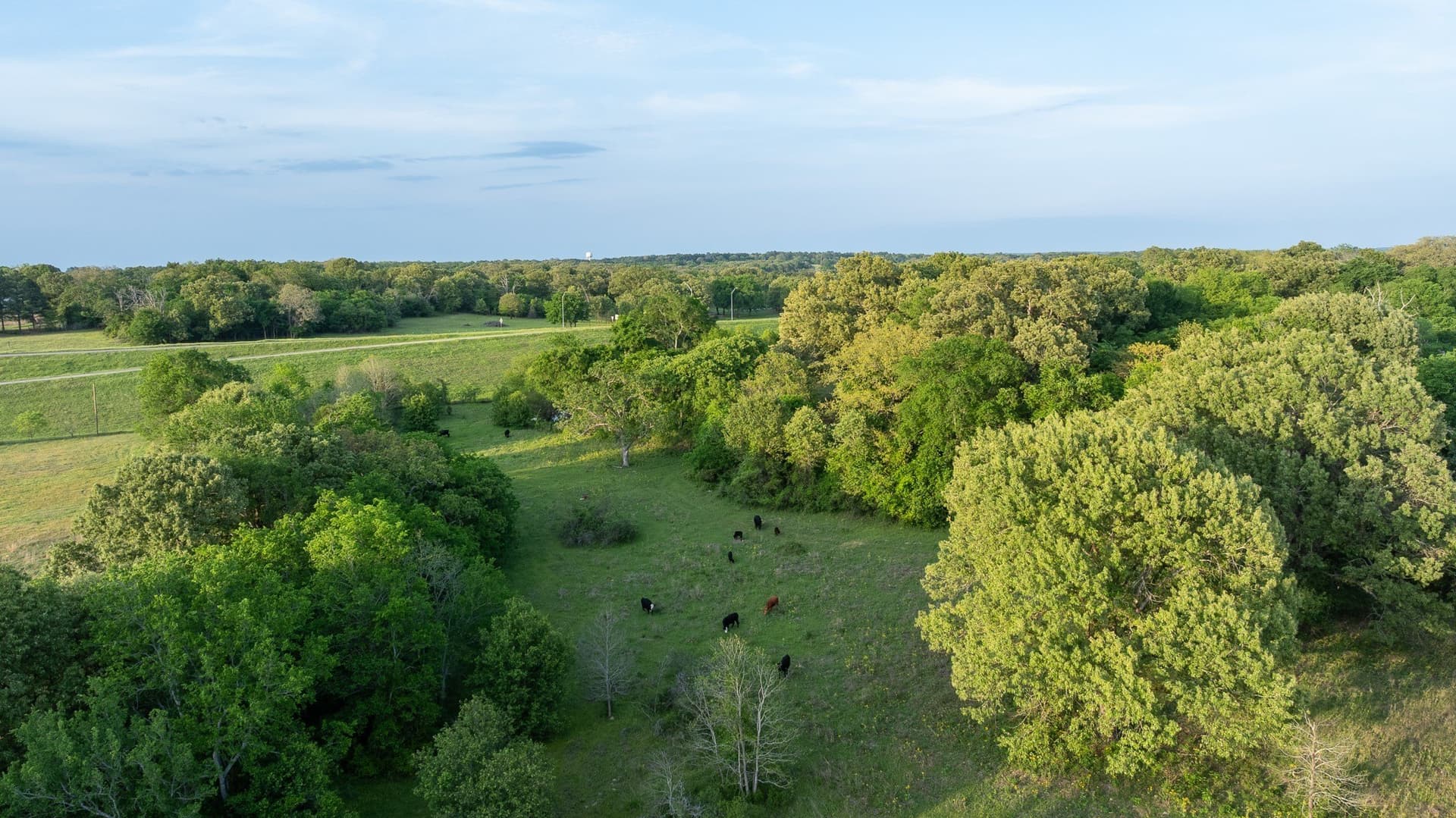 257 acres in Henderson County - photo 22