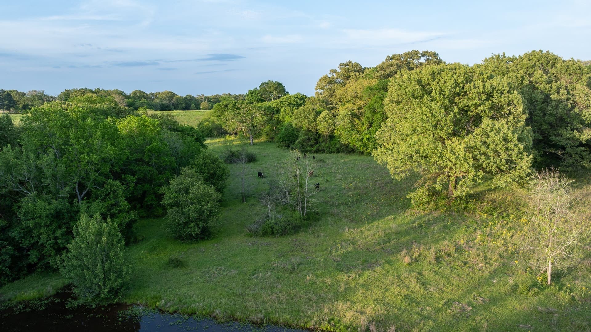 257 acres in Henderson County - photo 23