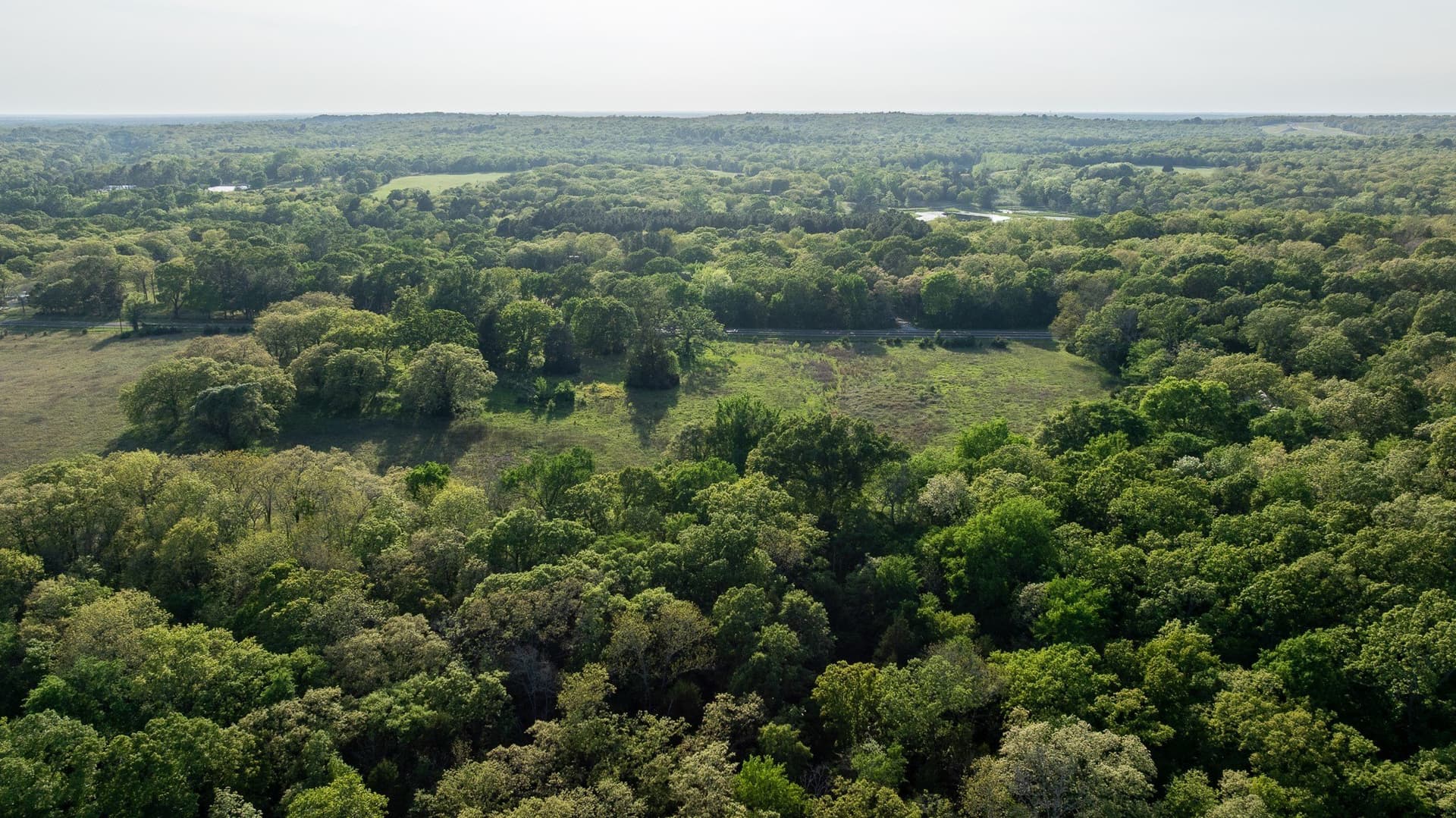 257 acres in Henderson County - photo 10