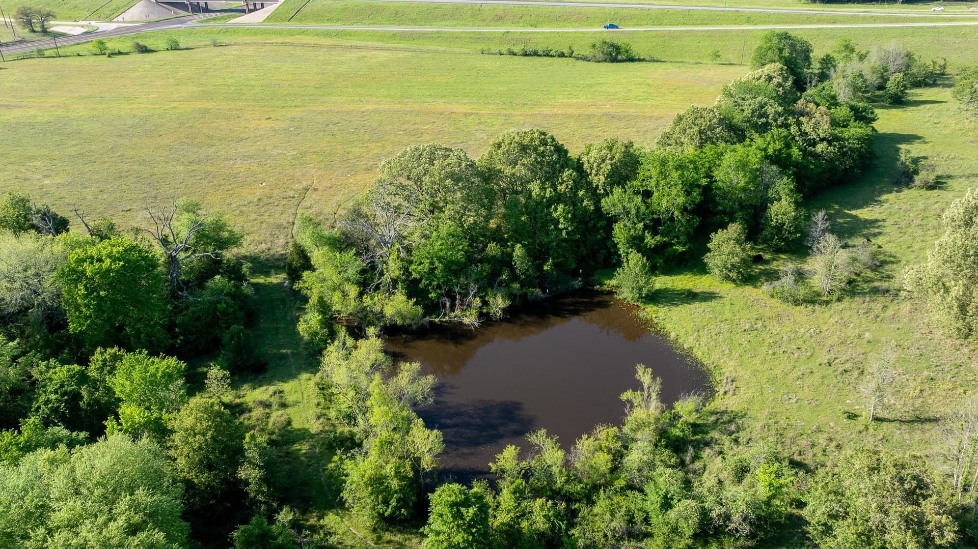257 acres in Henderson County - photo 9