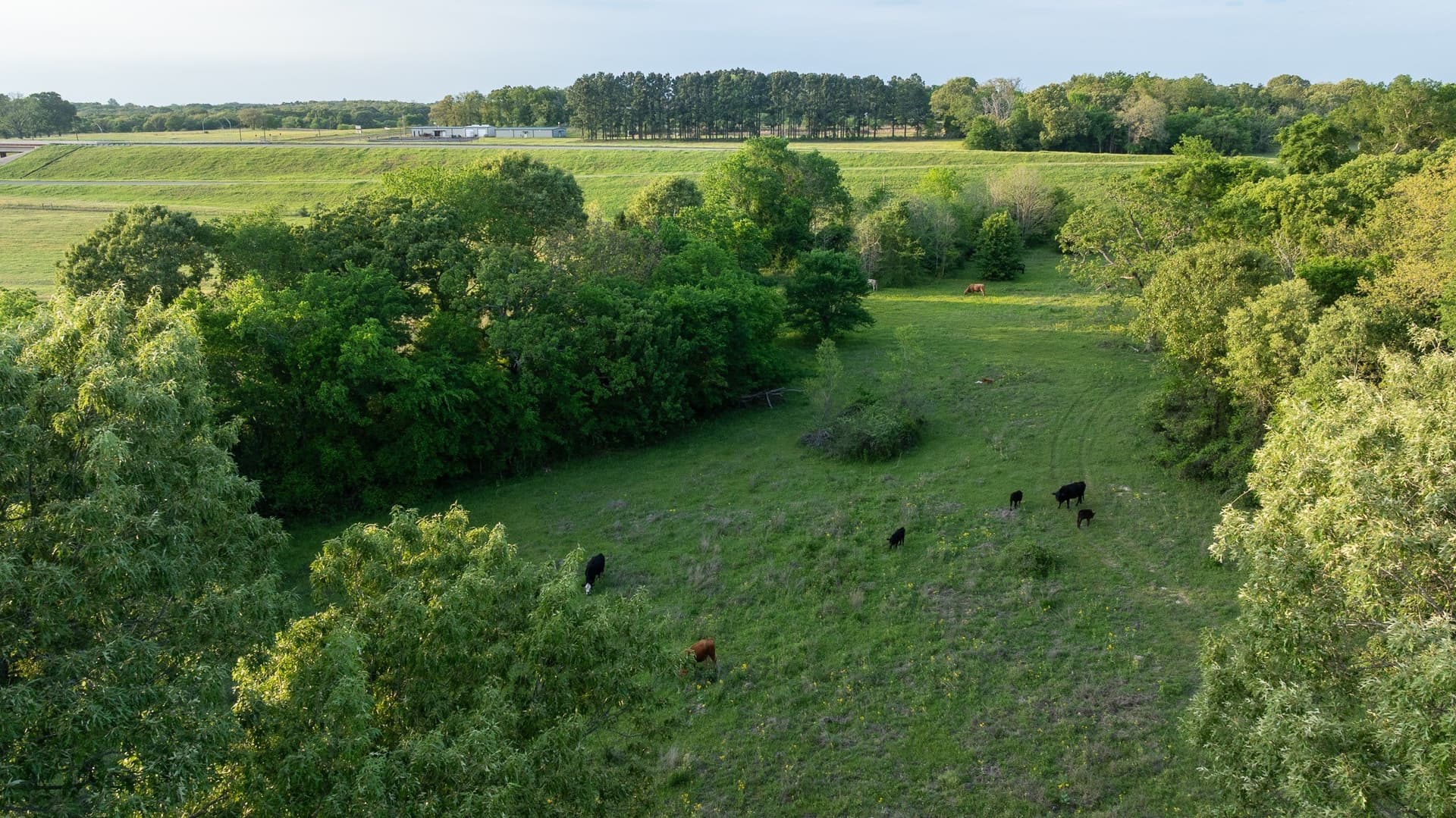 257 acres in Henderson County - photo 25