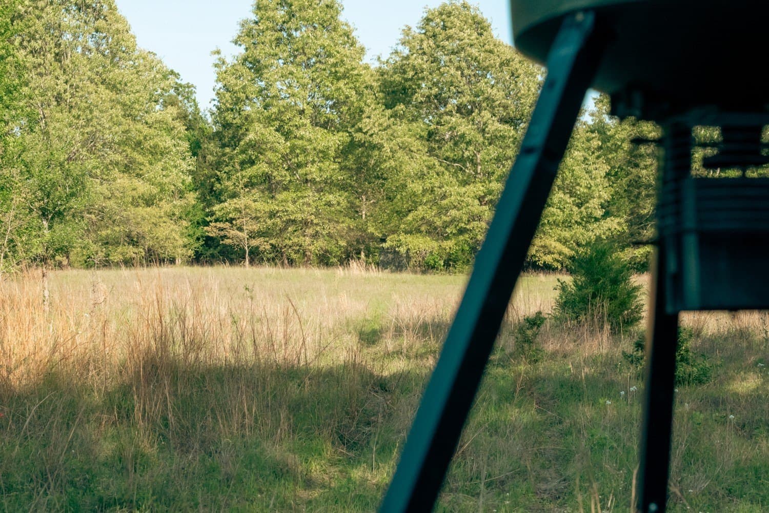 257 acres in Henderson County - photo 28