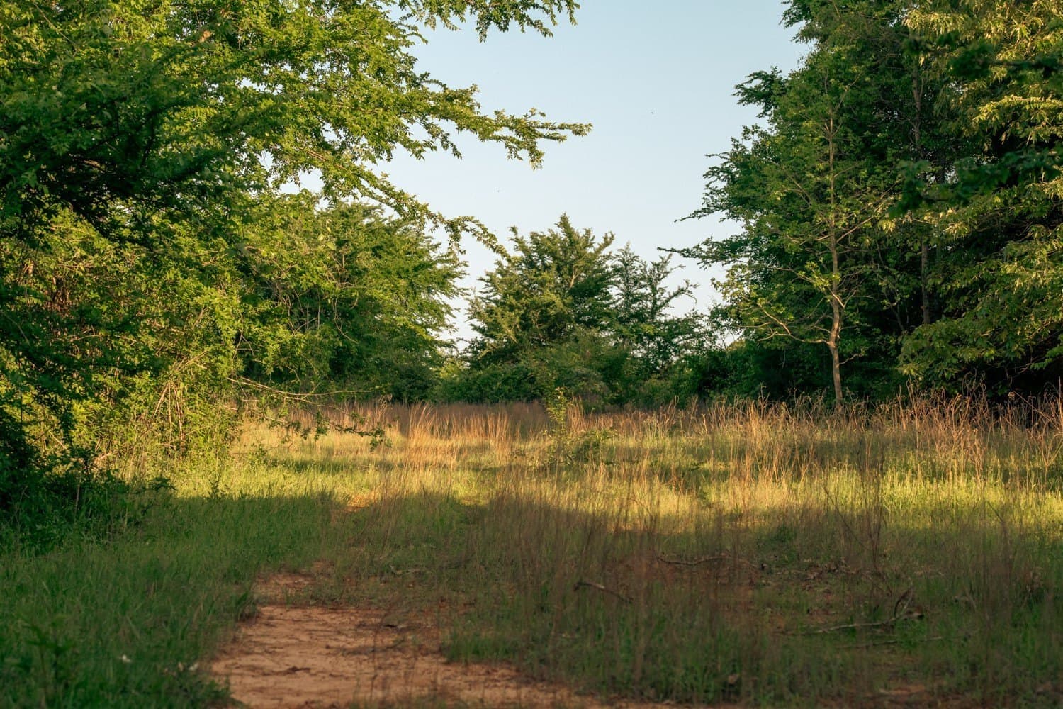 257 acres in Henderson County - photo 32