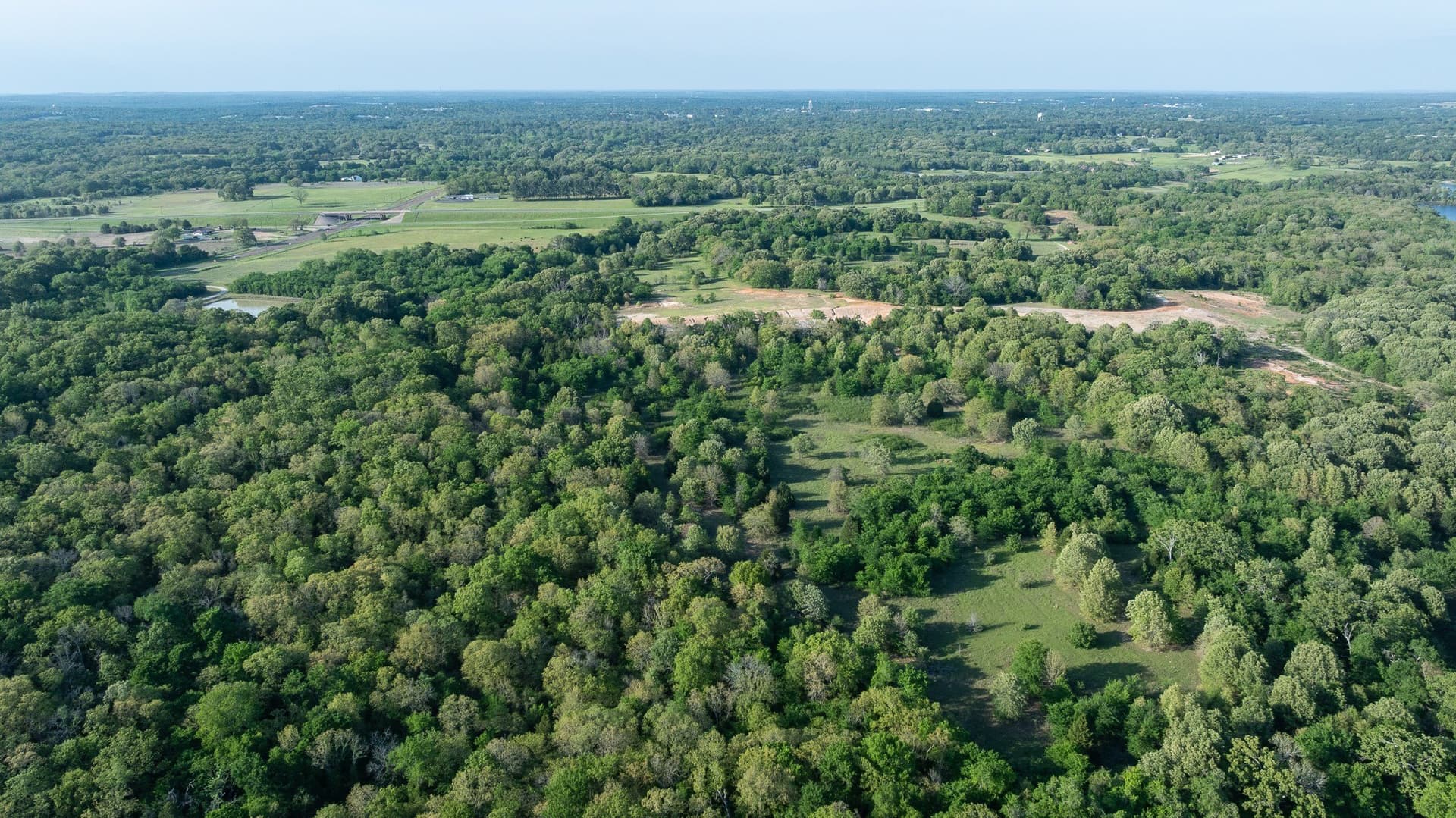 257 acres in Henderson County - photo 15