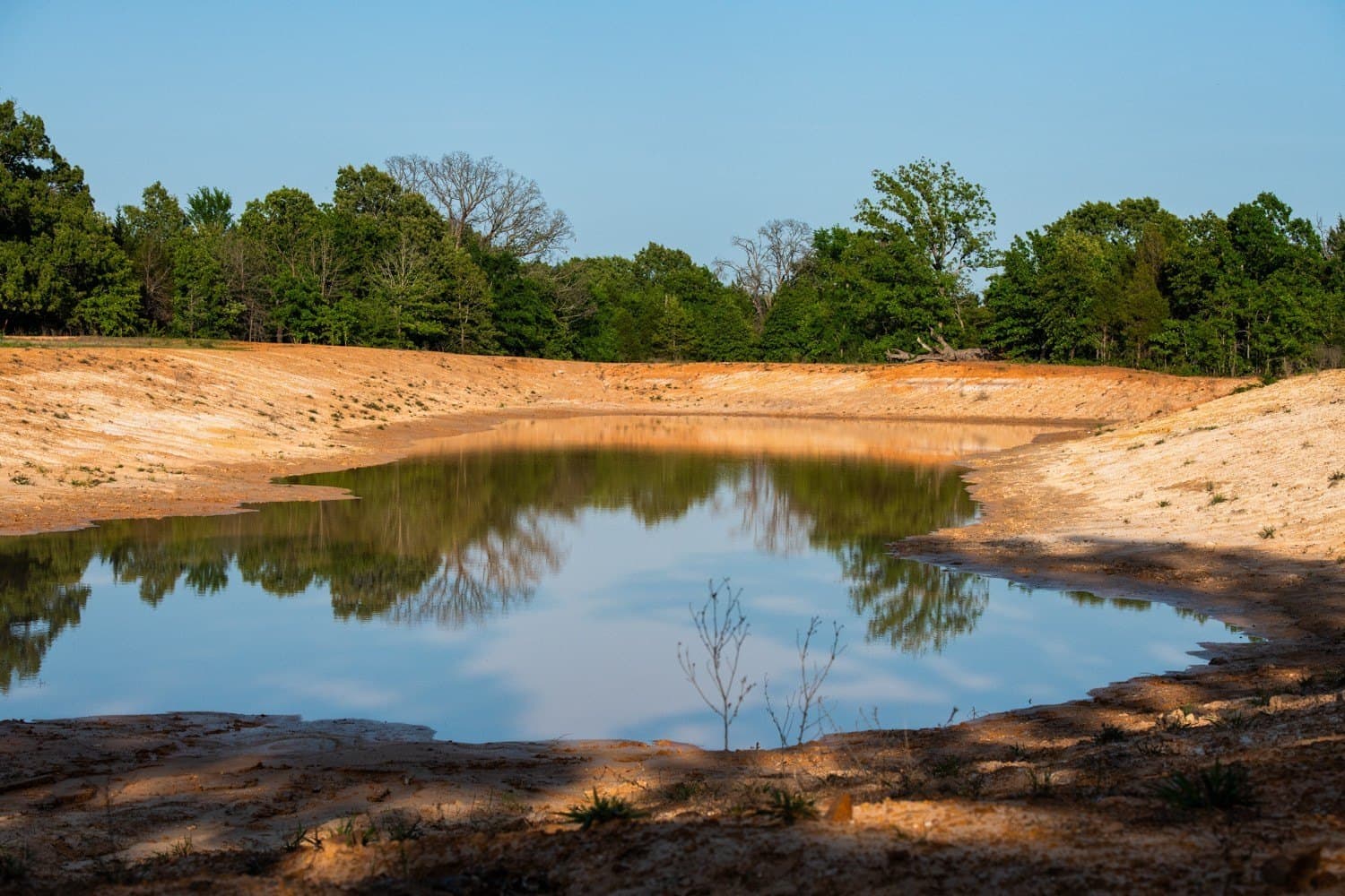 257 acres in Henderson County - photo 31