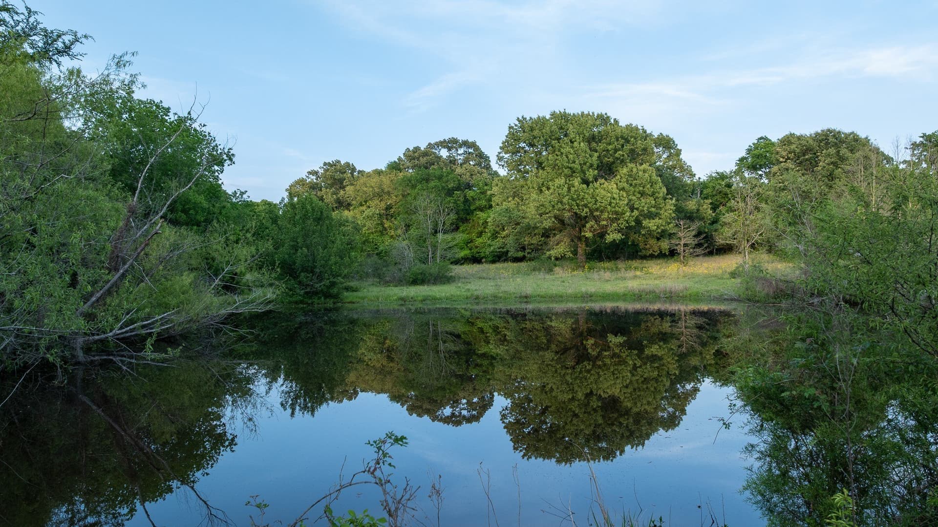 257 acres in Henderson County - photo 26
