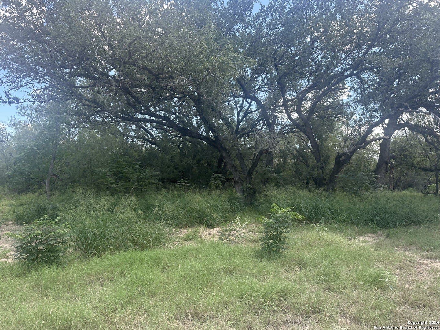 10.51 acres in Bexar County gallery image 3