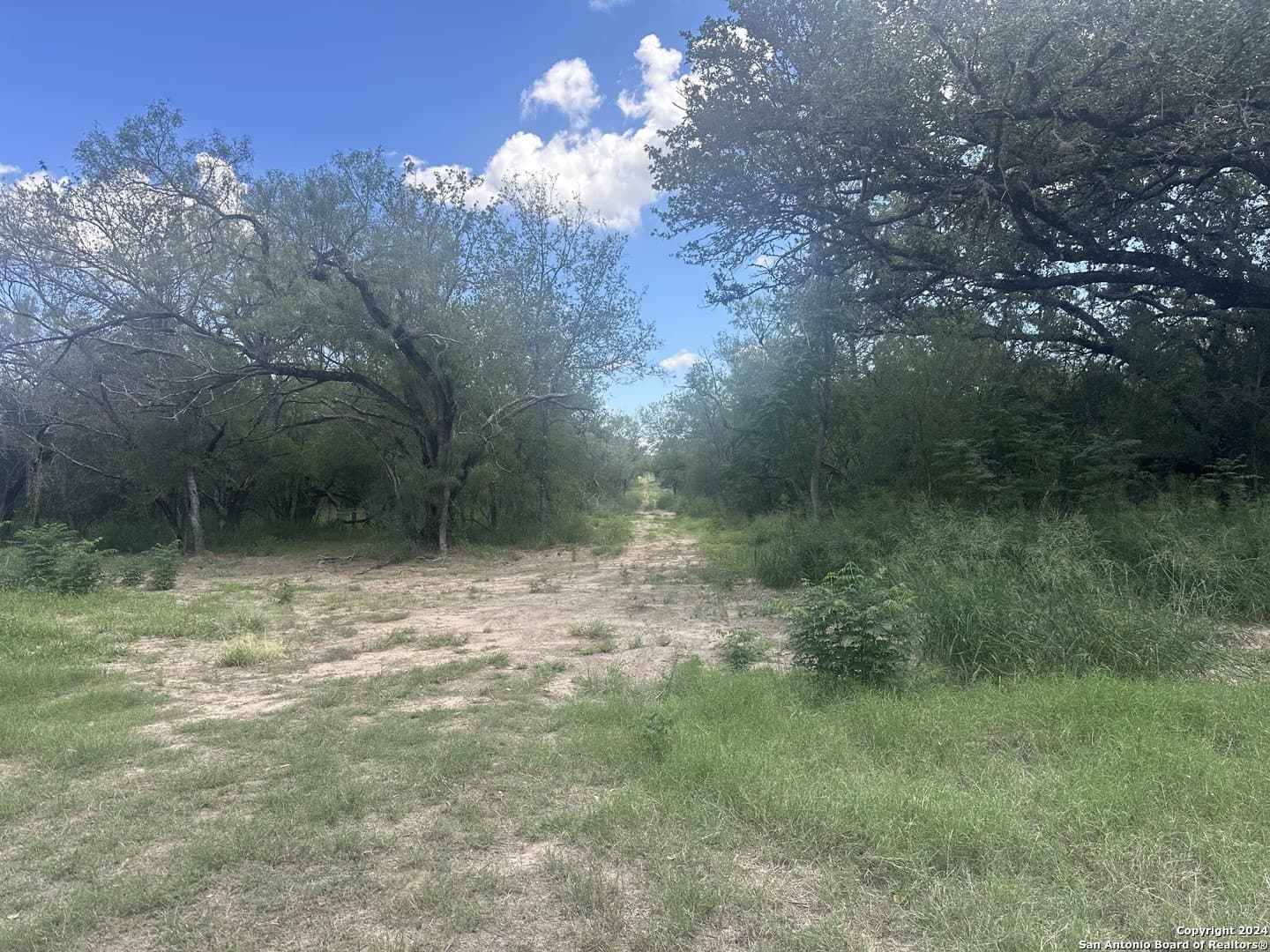 10.51 acres in Bexar County gallery image 4