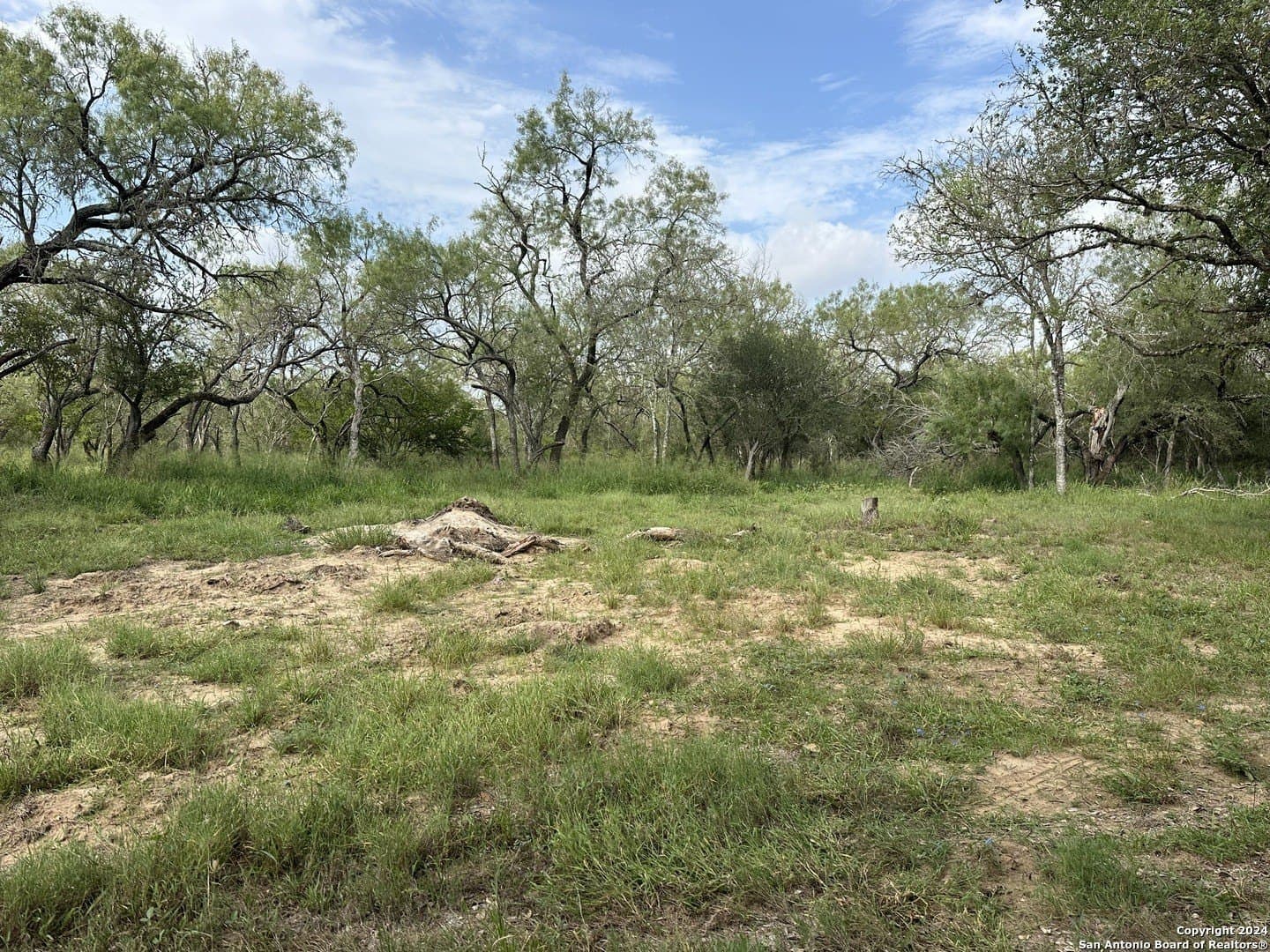 10.51 acres in Bexar County - photo 6