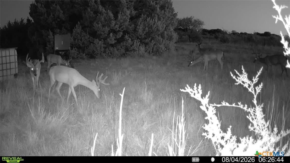 10 acres in Lampasas County - photo 18