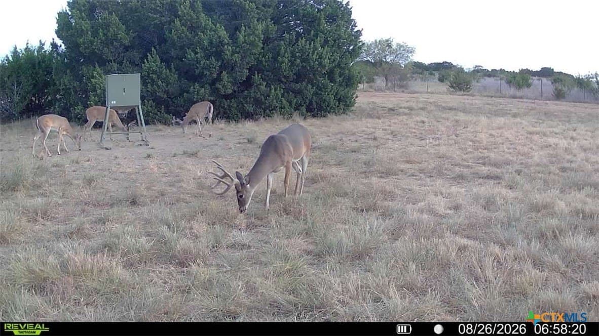 10 acres in Lampasas County - photo 17