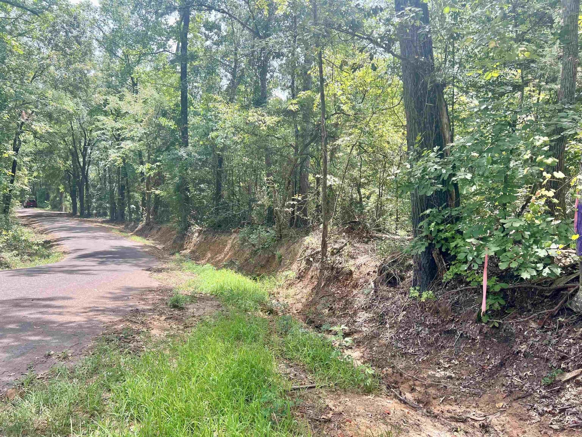 3.6 acres in Rusk County gallery image 4