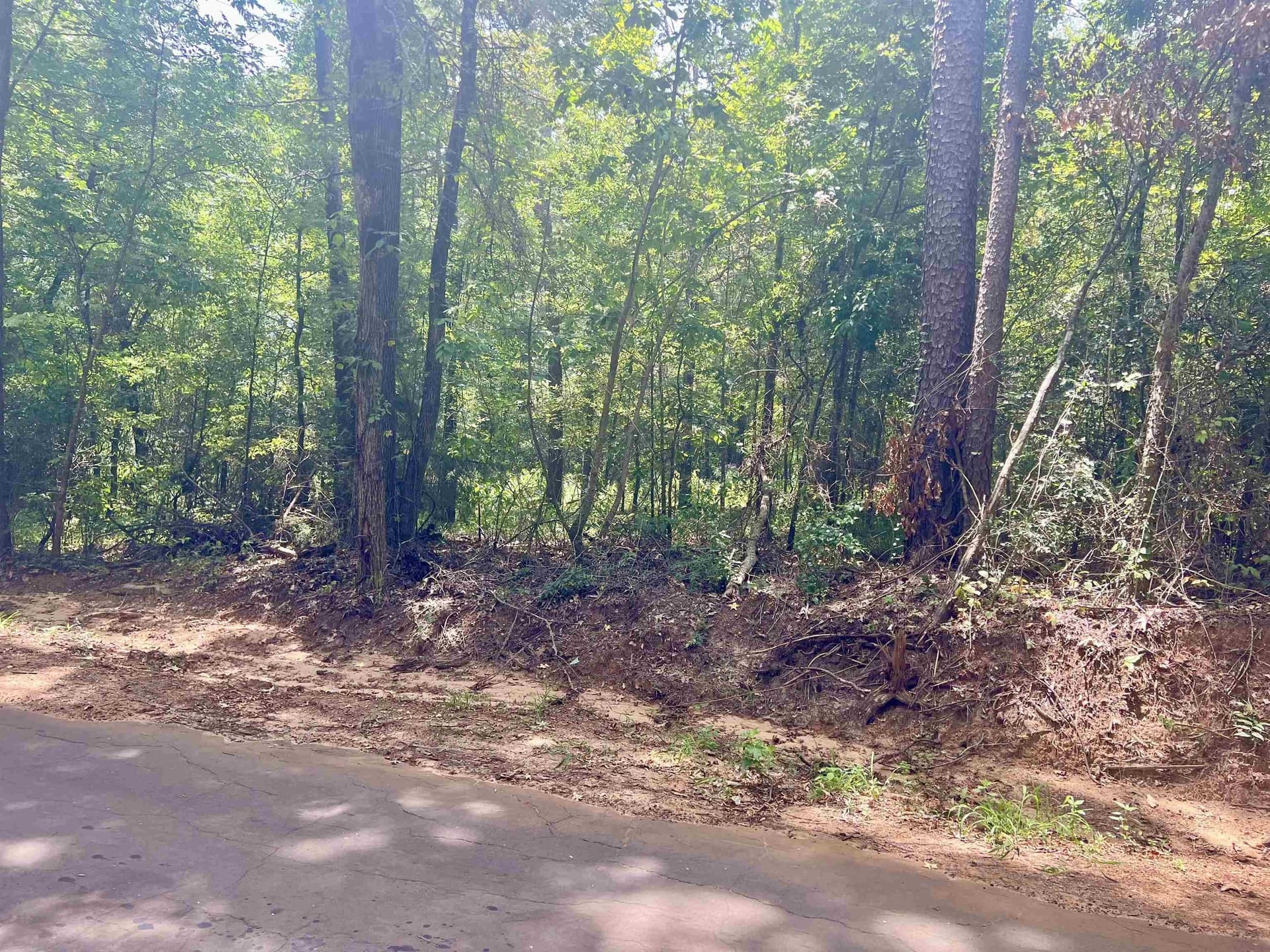 3.6 acres in Rusk County - photo 7