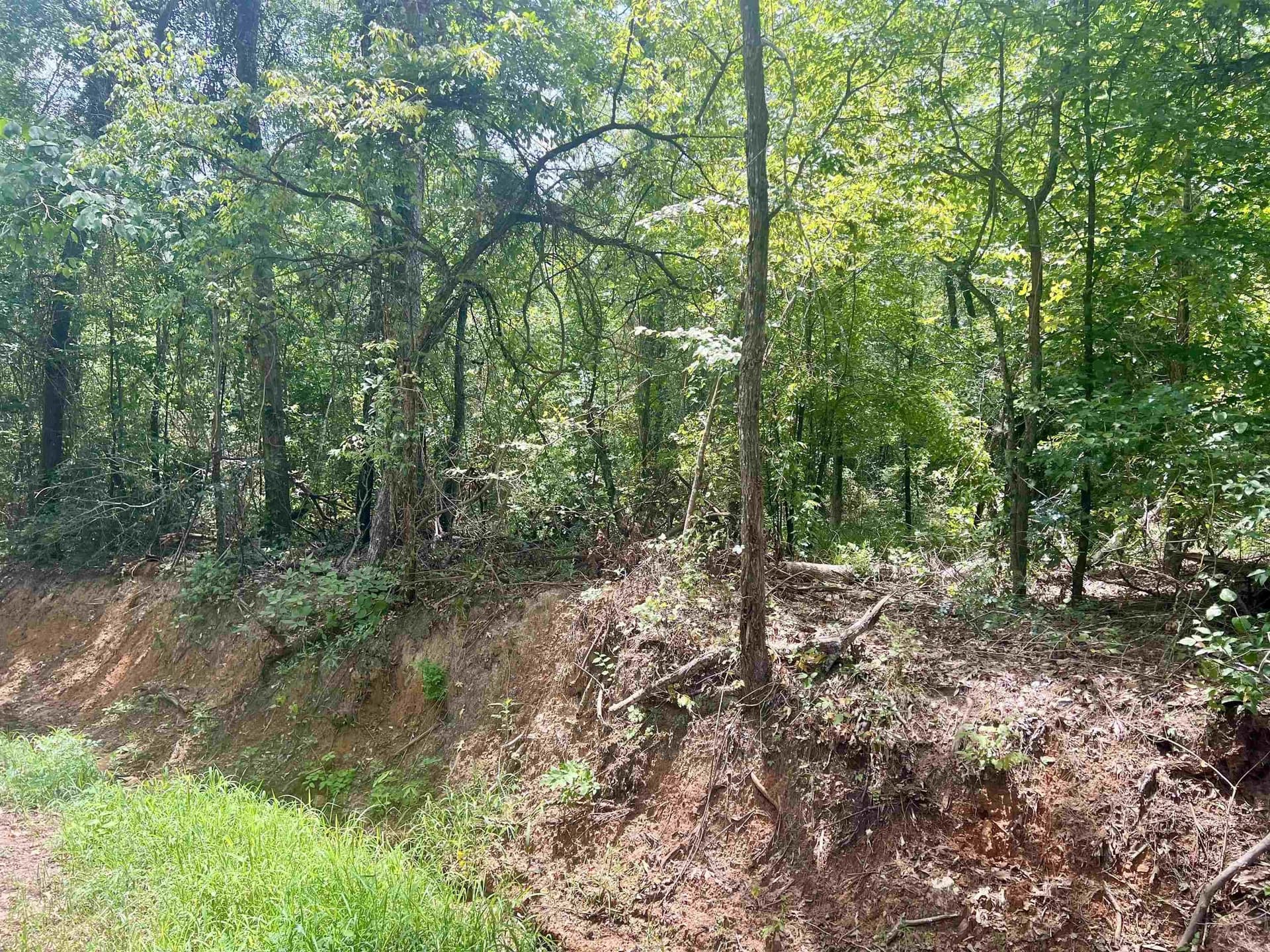3.6 acres in Rusk County - photo 6