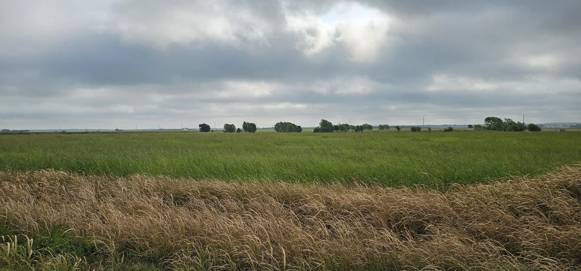 10 acres in Hill County gallery image 4