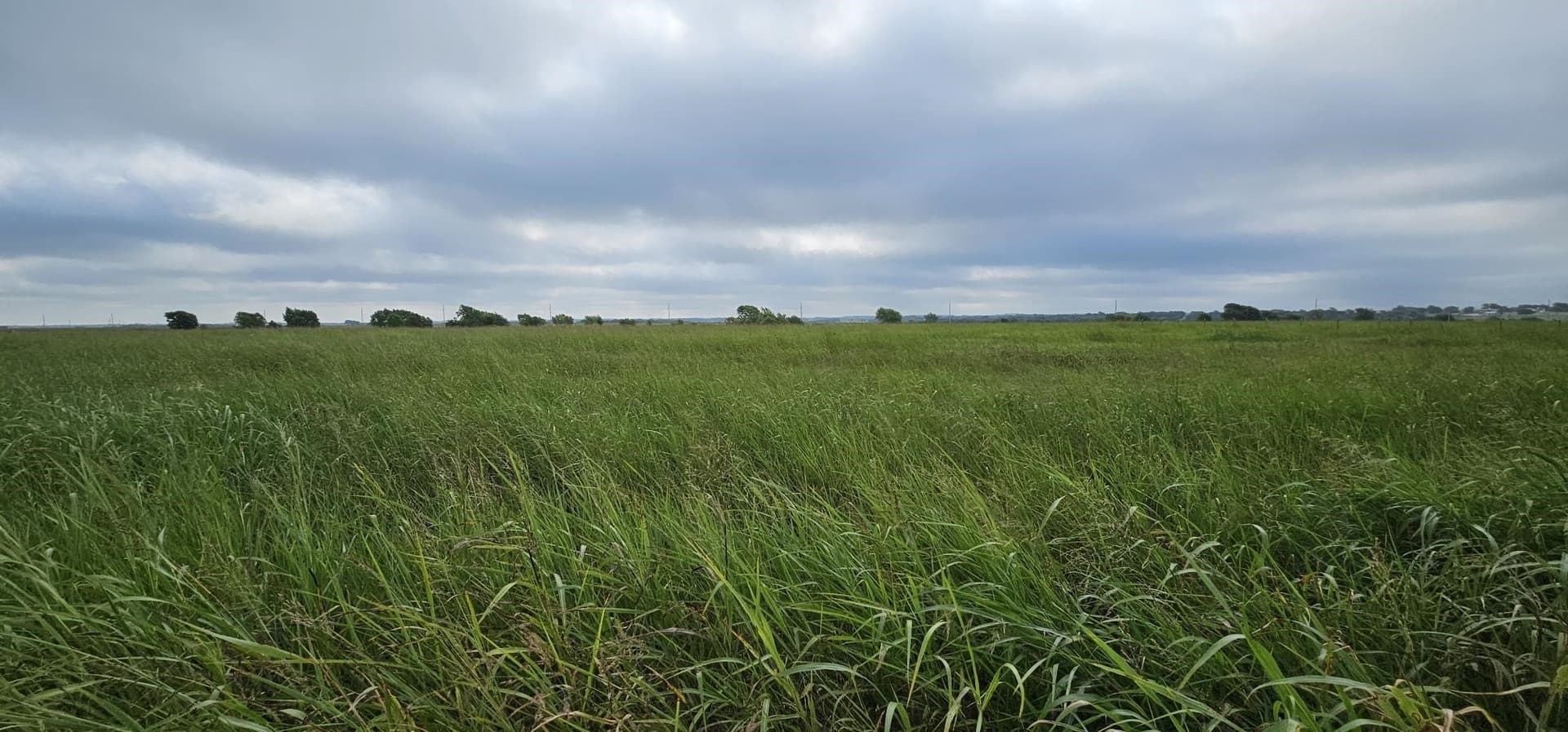 10 acres in Hill County