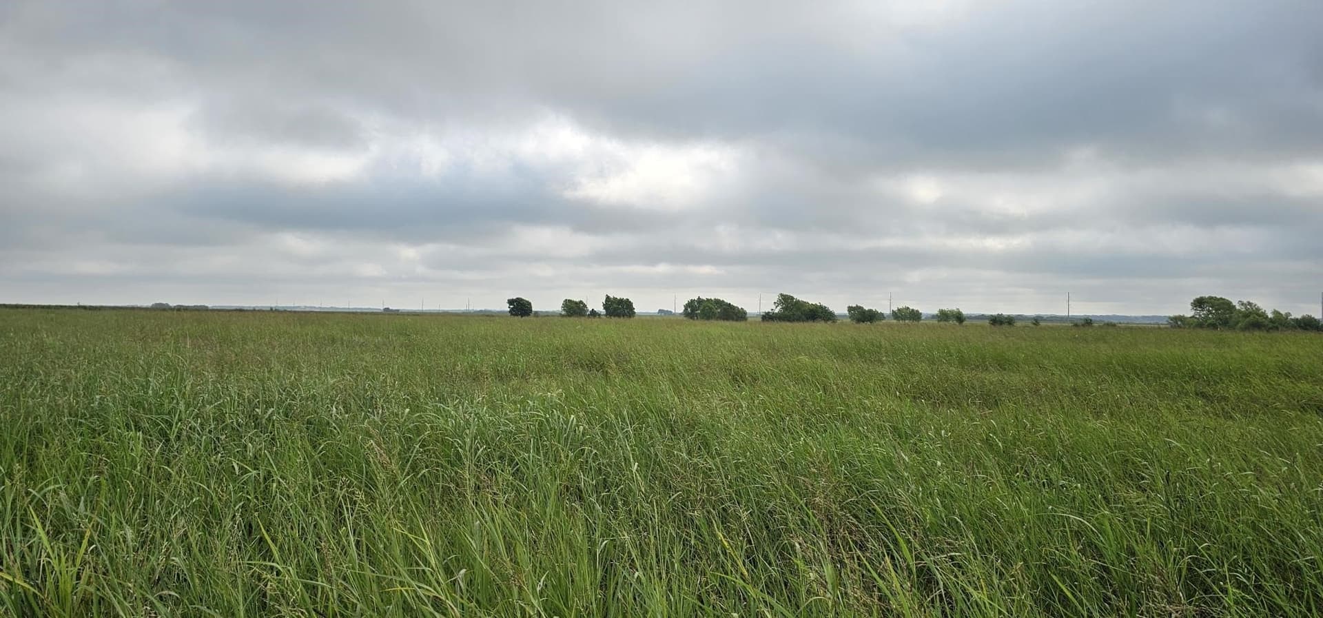 10 acres in Hill County gallery image 2