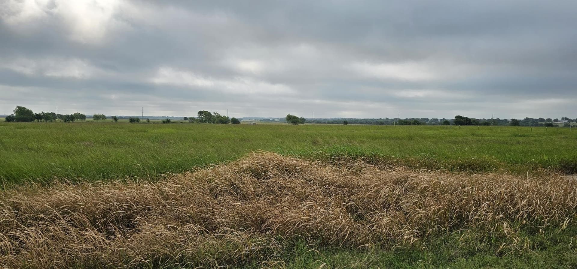 10 acres in Hill County gallery image 3