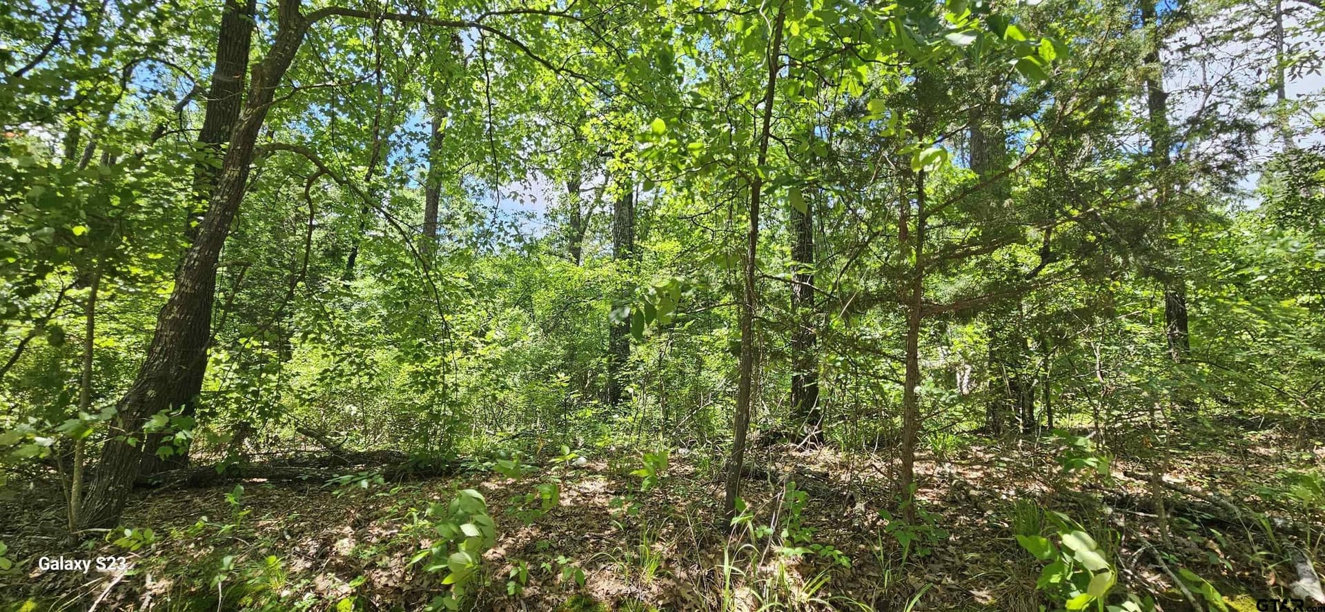 1.75 acres in Wood County - photo 3