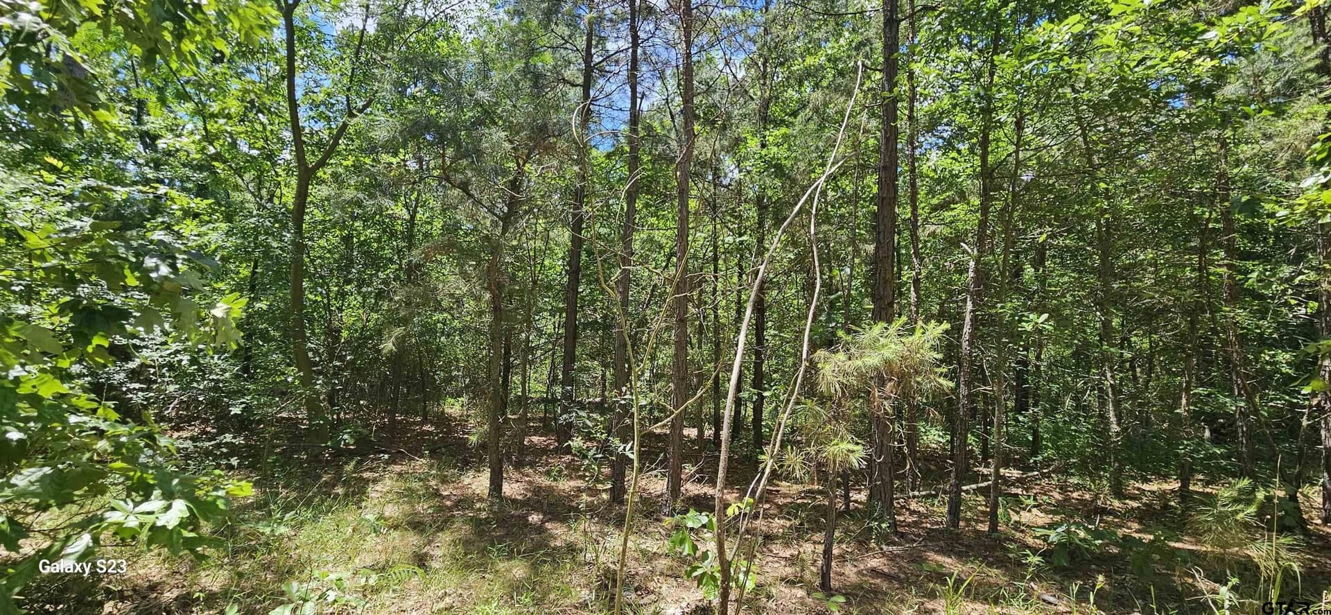 1.75 acres in Wood County - photo 2