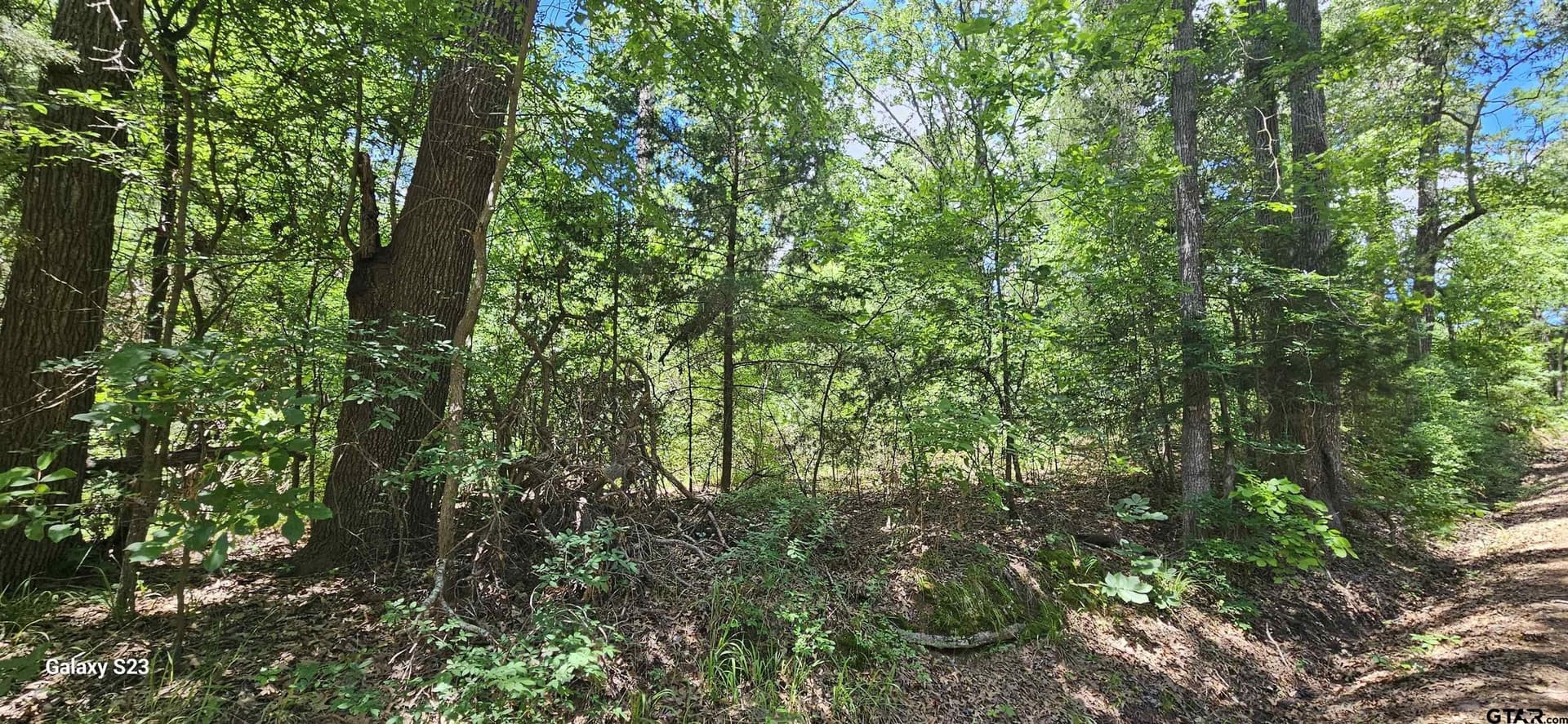 1.75 acres in Wood County - photo 4