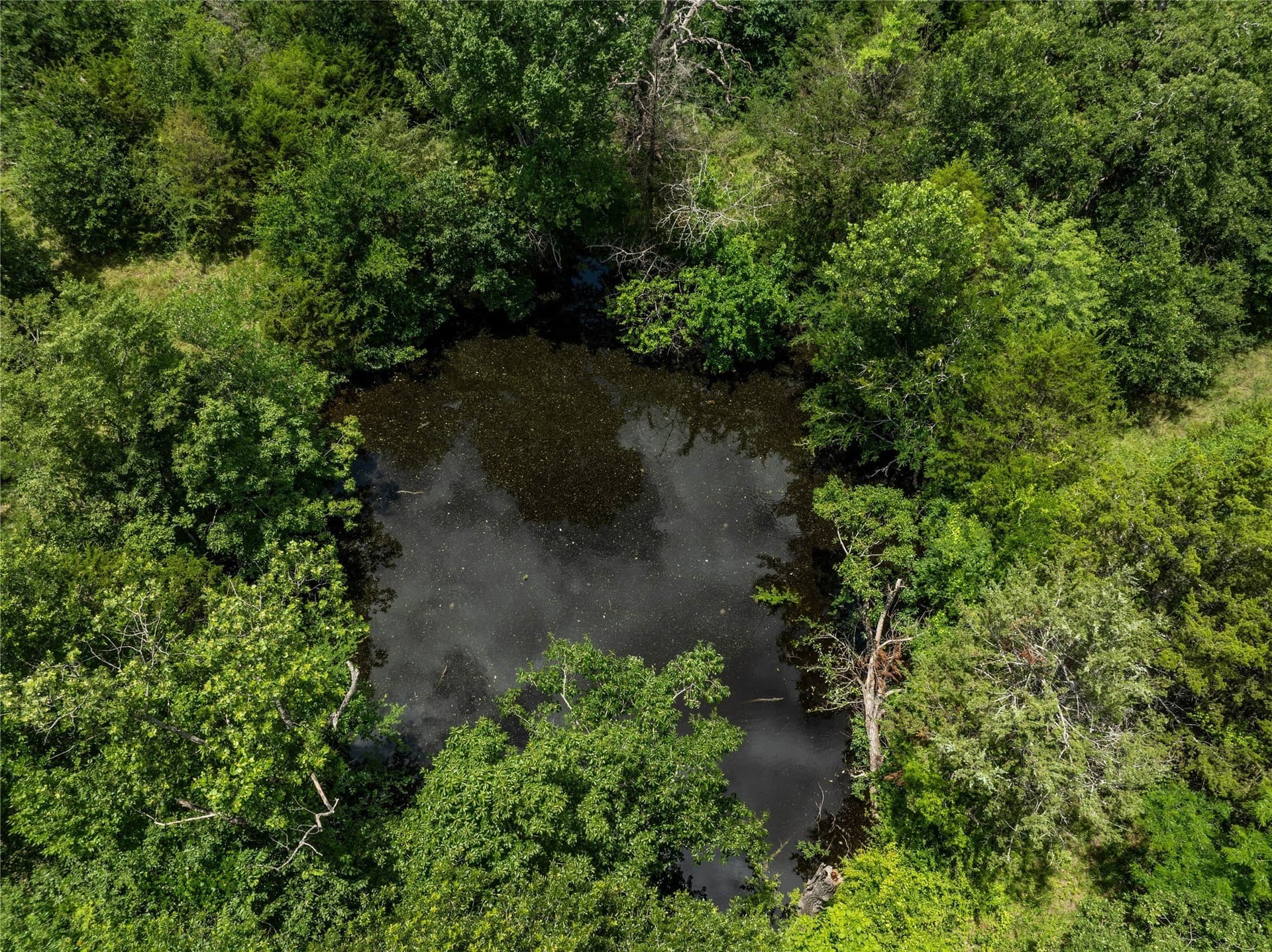 5 acres in Kaufman County - photo 6