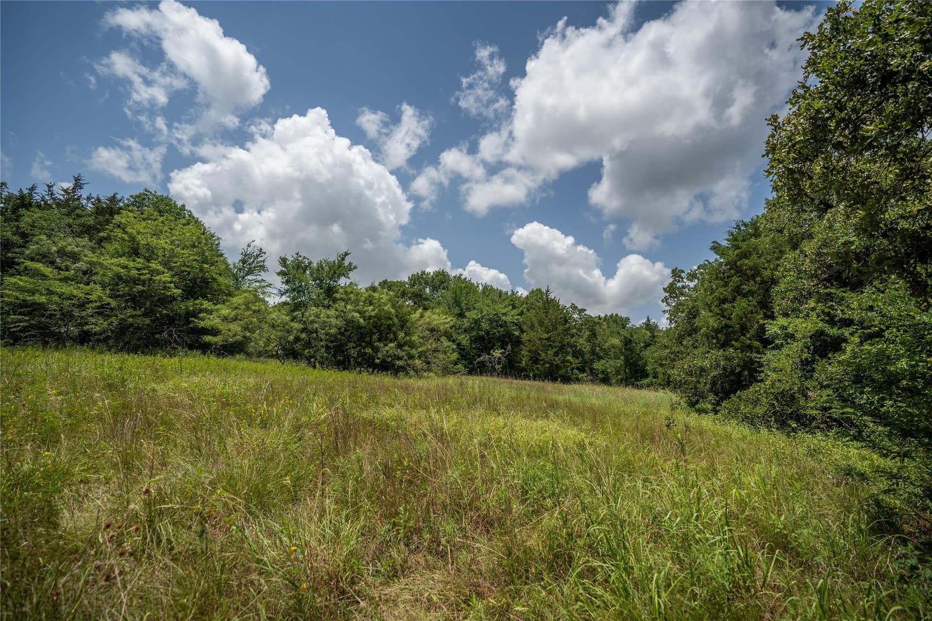 5 acres in Kaufman County - photo 3