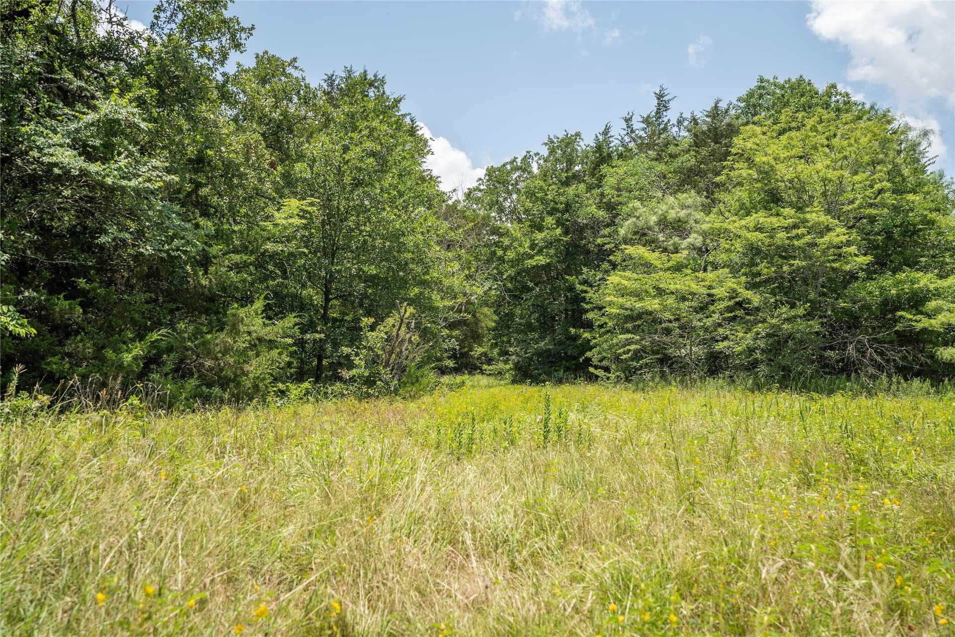5 acres in Kaufman County - photo 8
