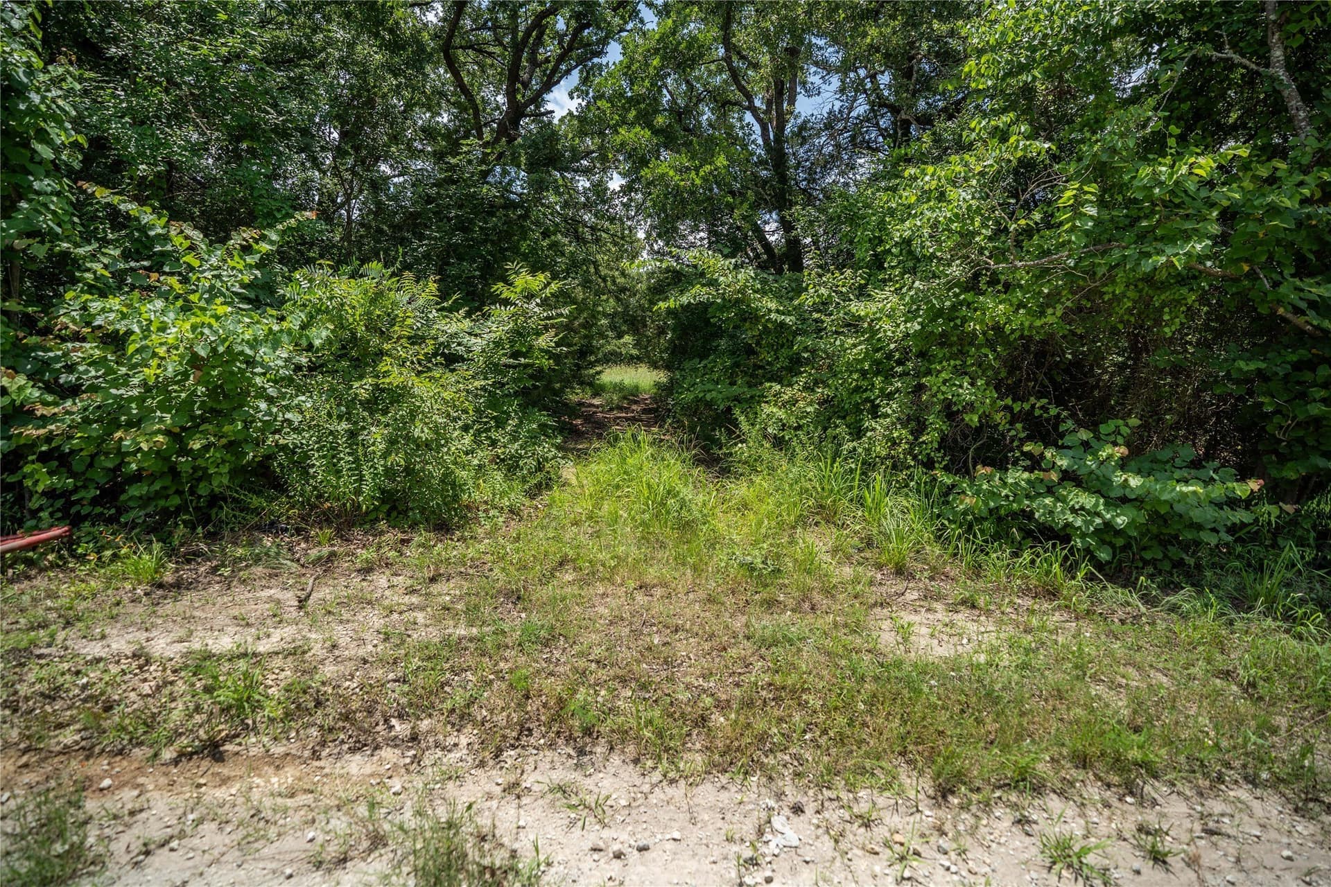 5 acres in Kaufman County - photo 9