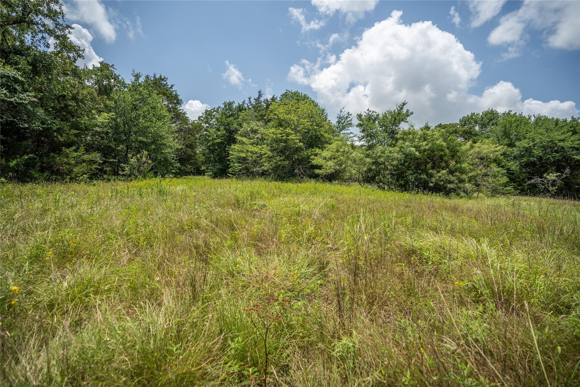 5 acres in Kaufman County - photo 7