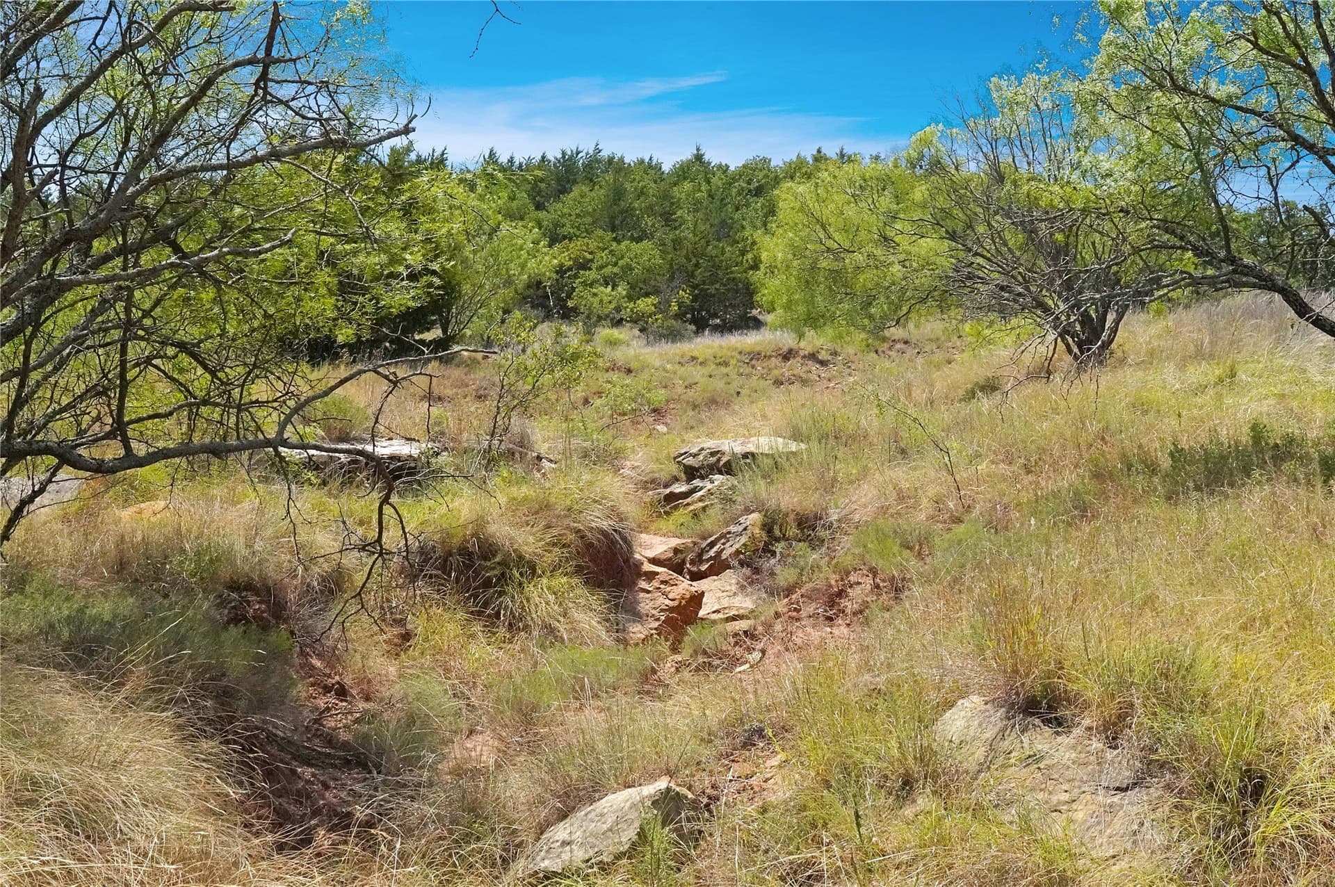 167.87 acres in Jack County - photo 27