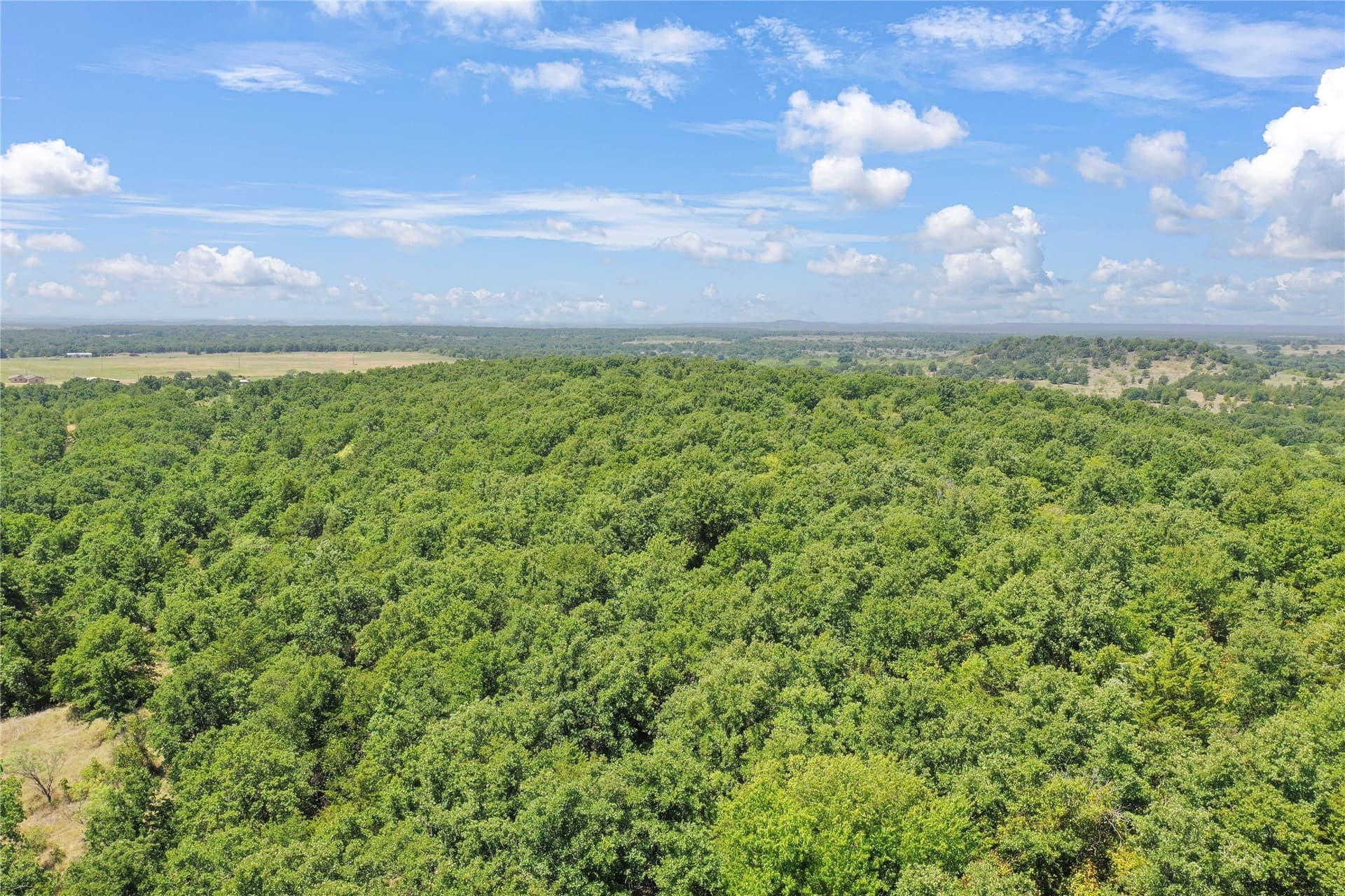 167.87 acres in Jack County - photo 8