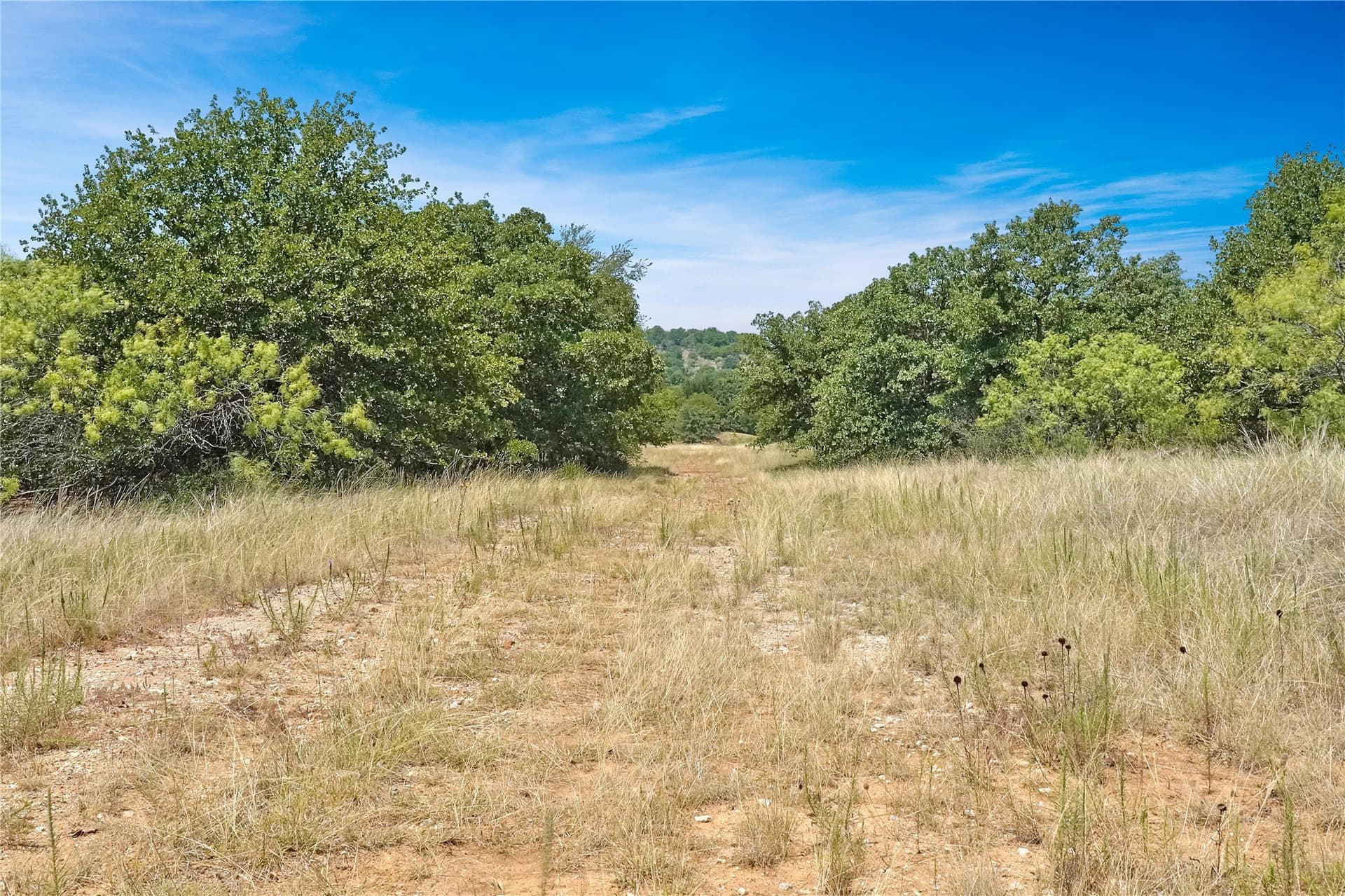 167.87 acres in Jack County - photo 22