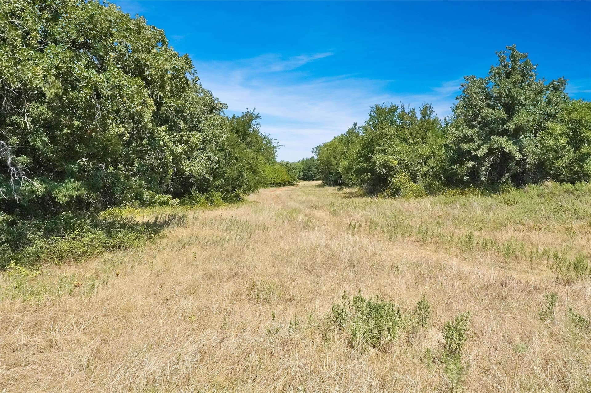 167.87 acres in Jack County - photo 16
