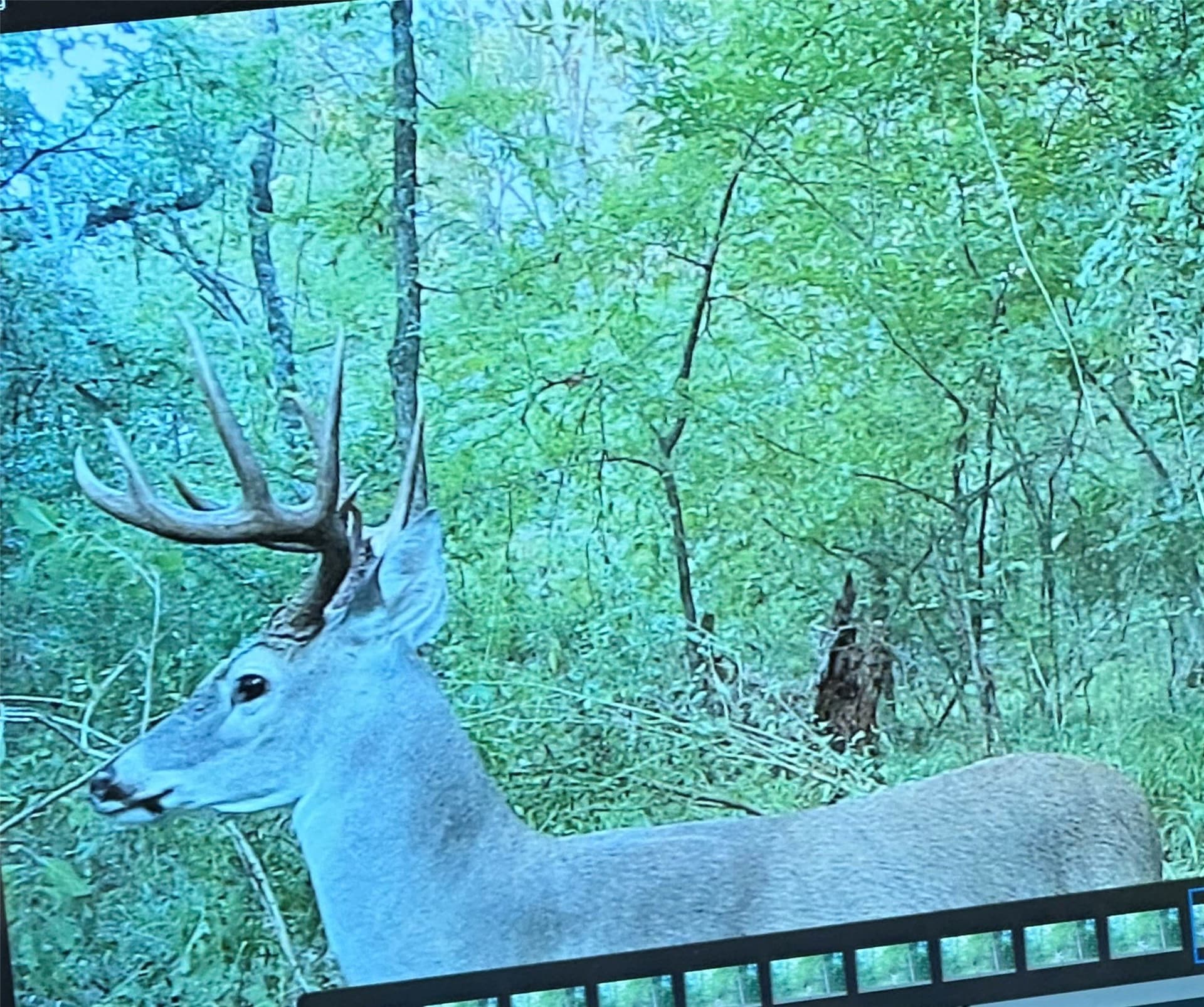 25.54 acres in Henderson County - photo 21
