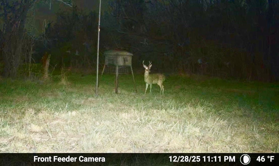 25.54 acres in Henderson County - photo 20