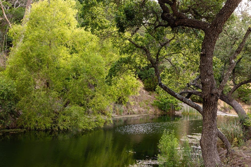 289.82 acres in Kerr County featured view