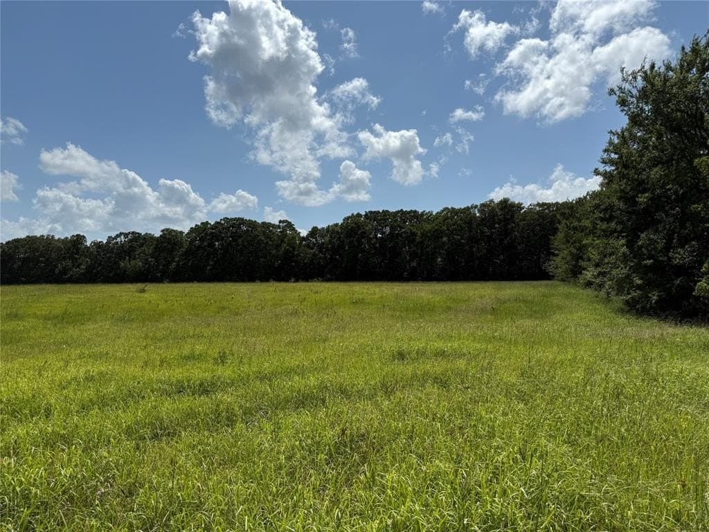 29.7 acres in Delta County gallery image 2