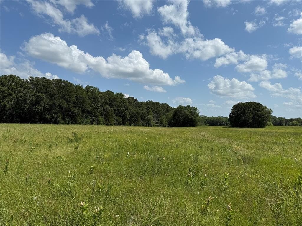 29.7 acres in Delta County gallery image 4