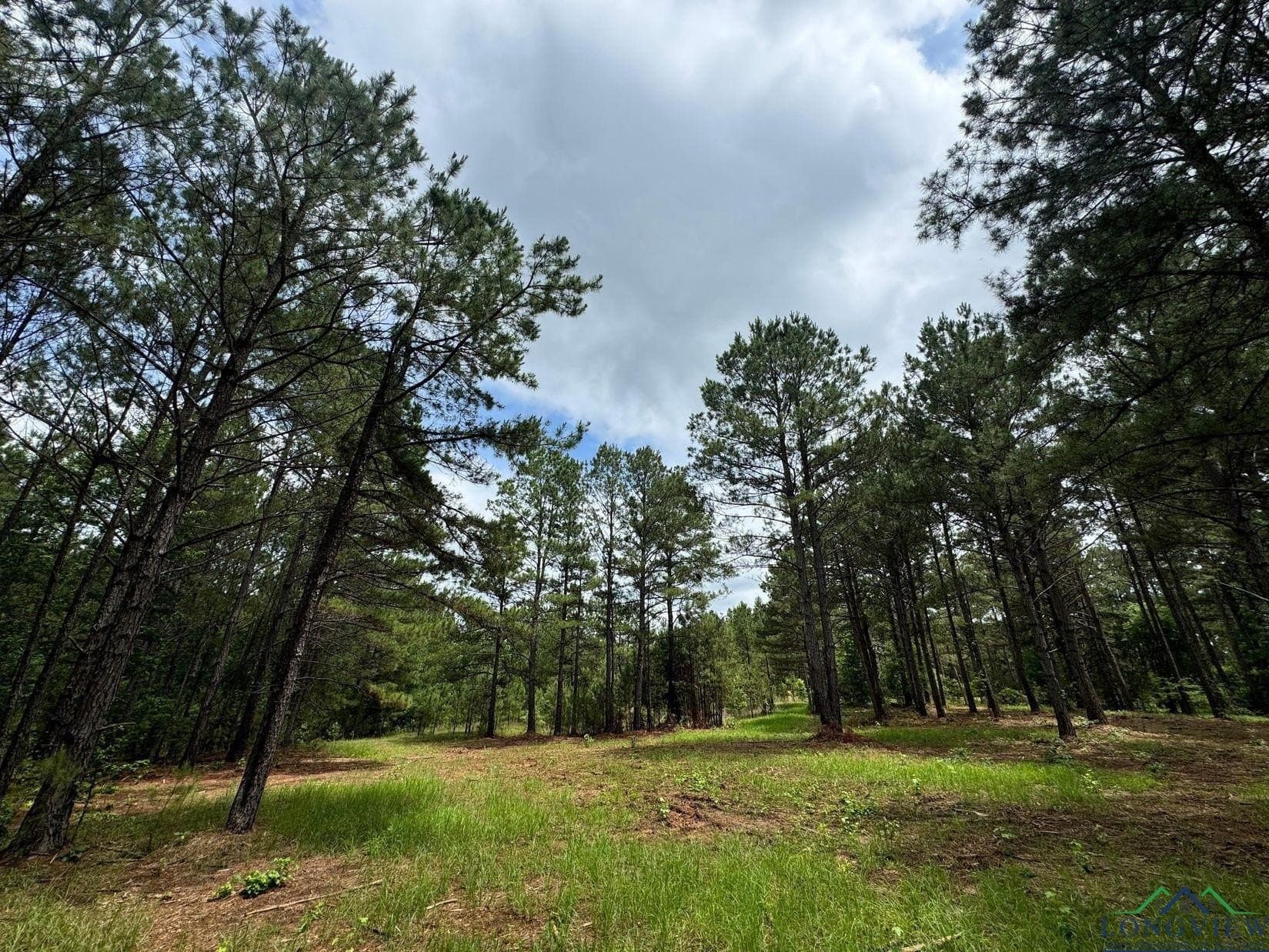 8.6 acres in Marion County gallery image 4