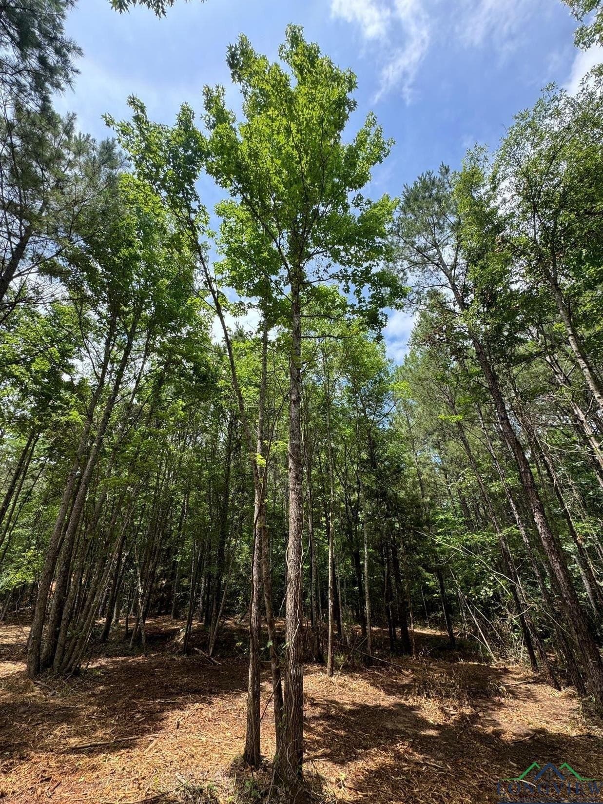 8.6 acres in Marion County featured view