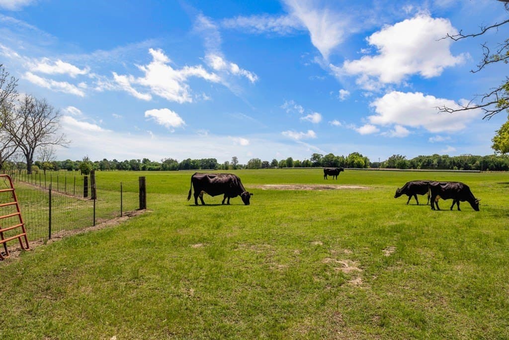 21 acres in Van Zandt County - photo 32