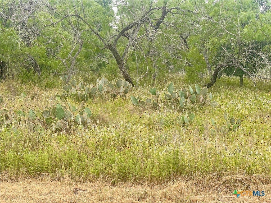 1 acres in Gonzales County