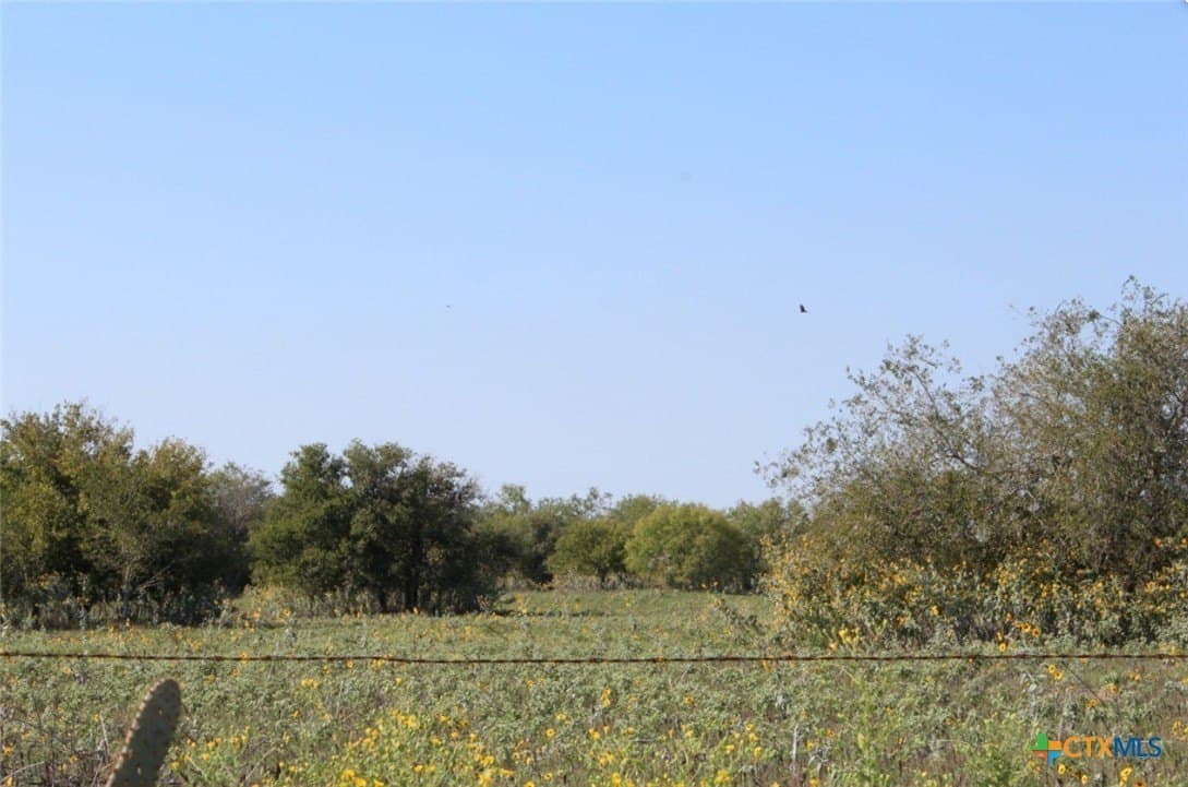 1 acres in Gonzales County - photo 8