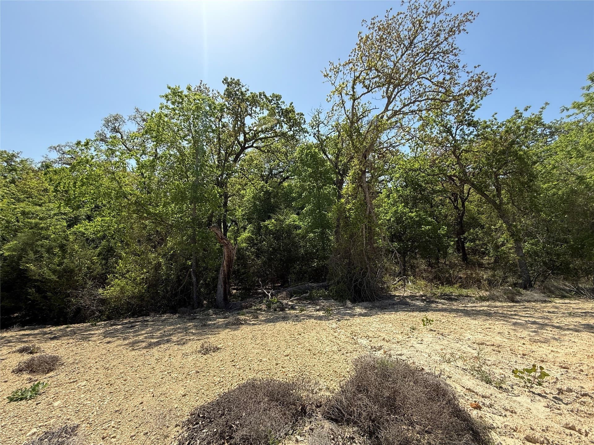 2 acres in Parker County - photo 6