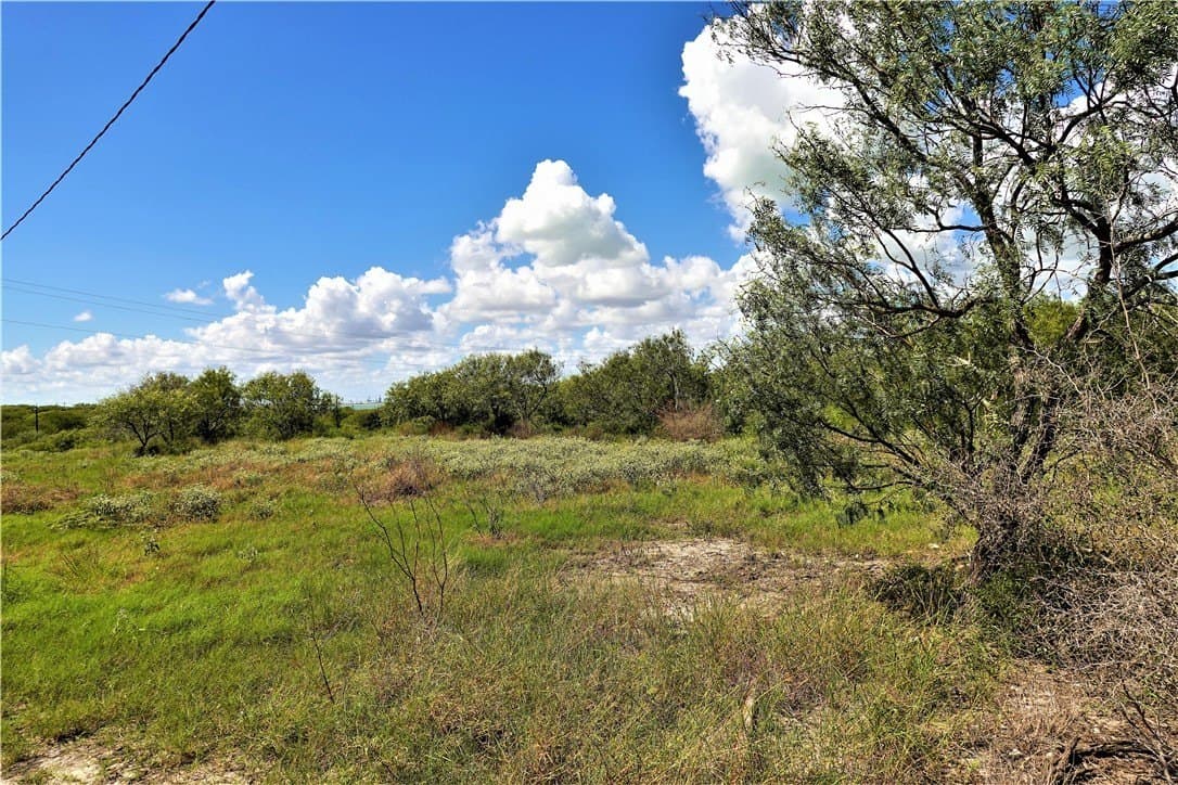 29.99 acres in San Patricio County - photo 8